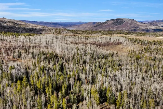 $40,000 | 20331 King Bolt Way, Oak Creek, CO 80467