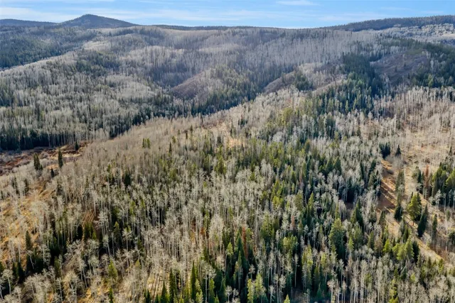 a view of a dry yard
