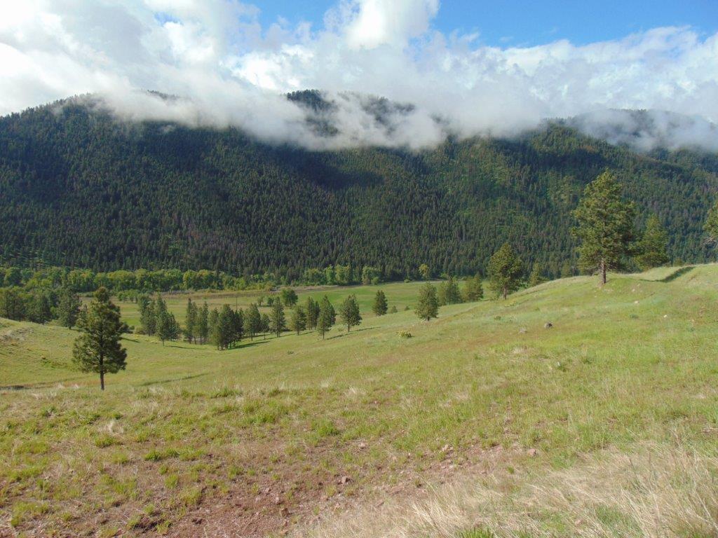 27235 Lazy Springs Road Clinton, MT 59825 - Photo 59 of 94 Gallery Image 59