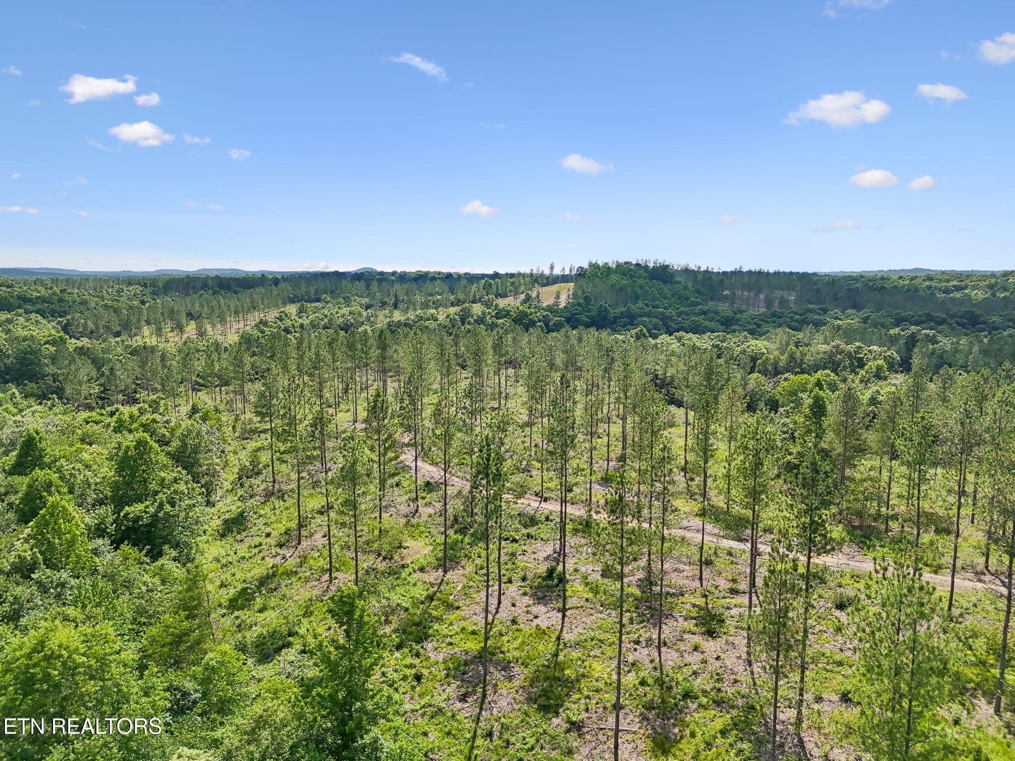 Sheep Ranch Road, Unit 24 Robbins, TN 37852 - Photo 29 of 33 23-Sheep Ranch Rd-023