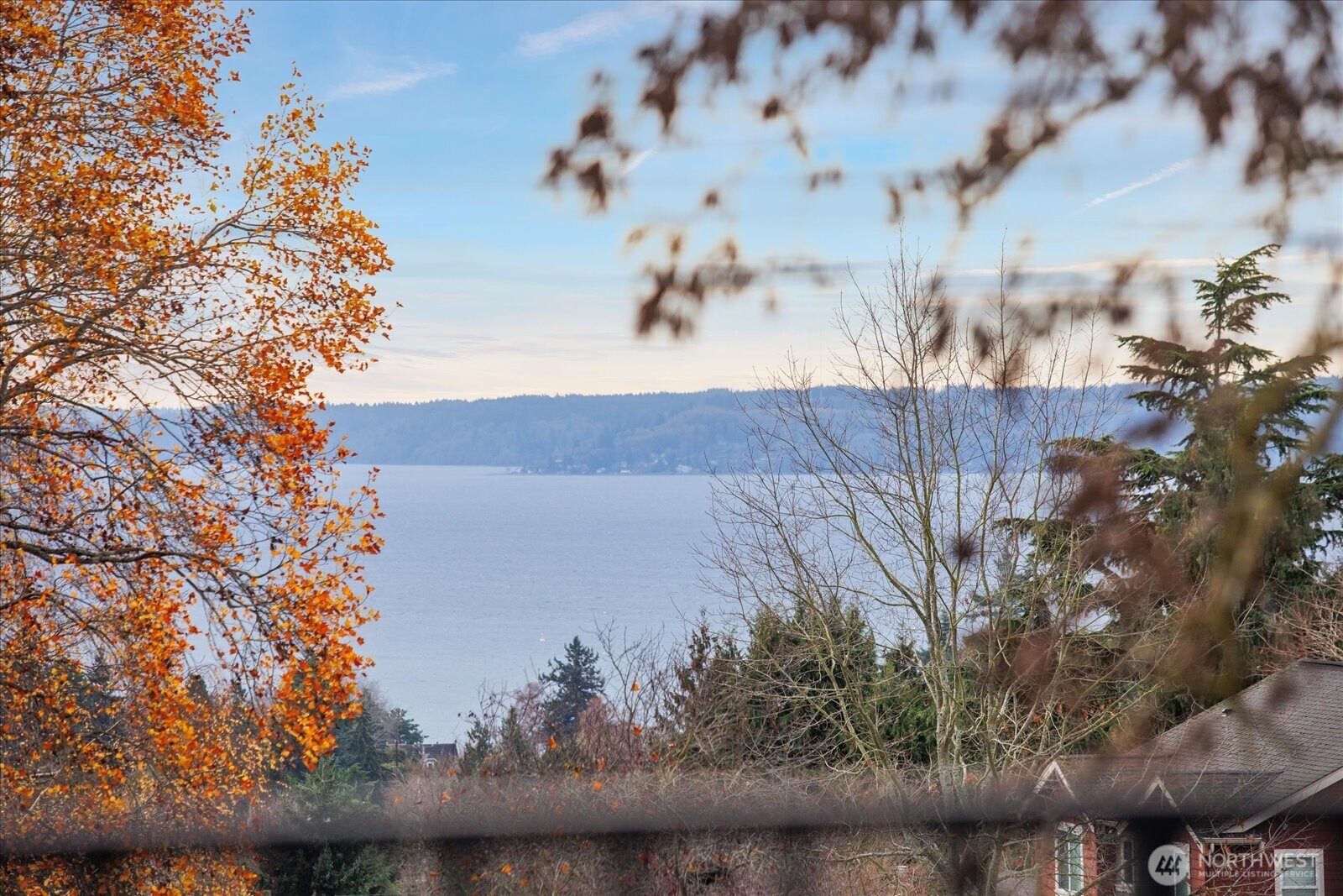 4104 49th Avenue Southwest Seattle, WA 98116 - Photo 24 of 26