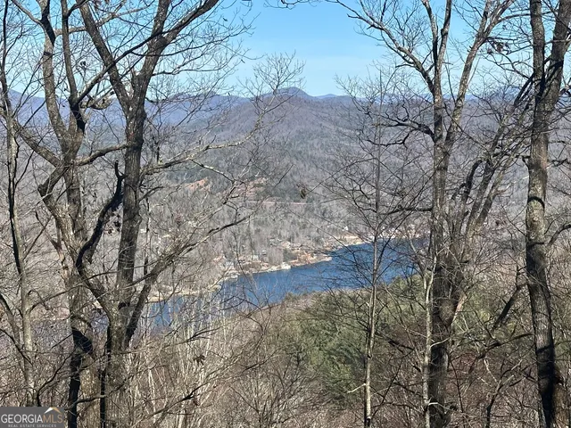 $250,000 | 0 Baker, Unit LOT 10, Tiger, GA 30576