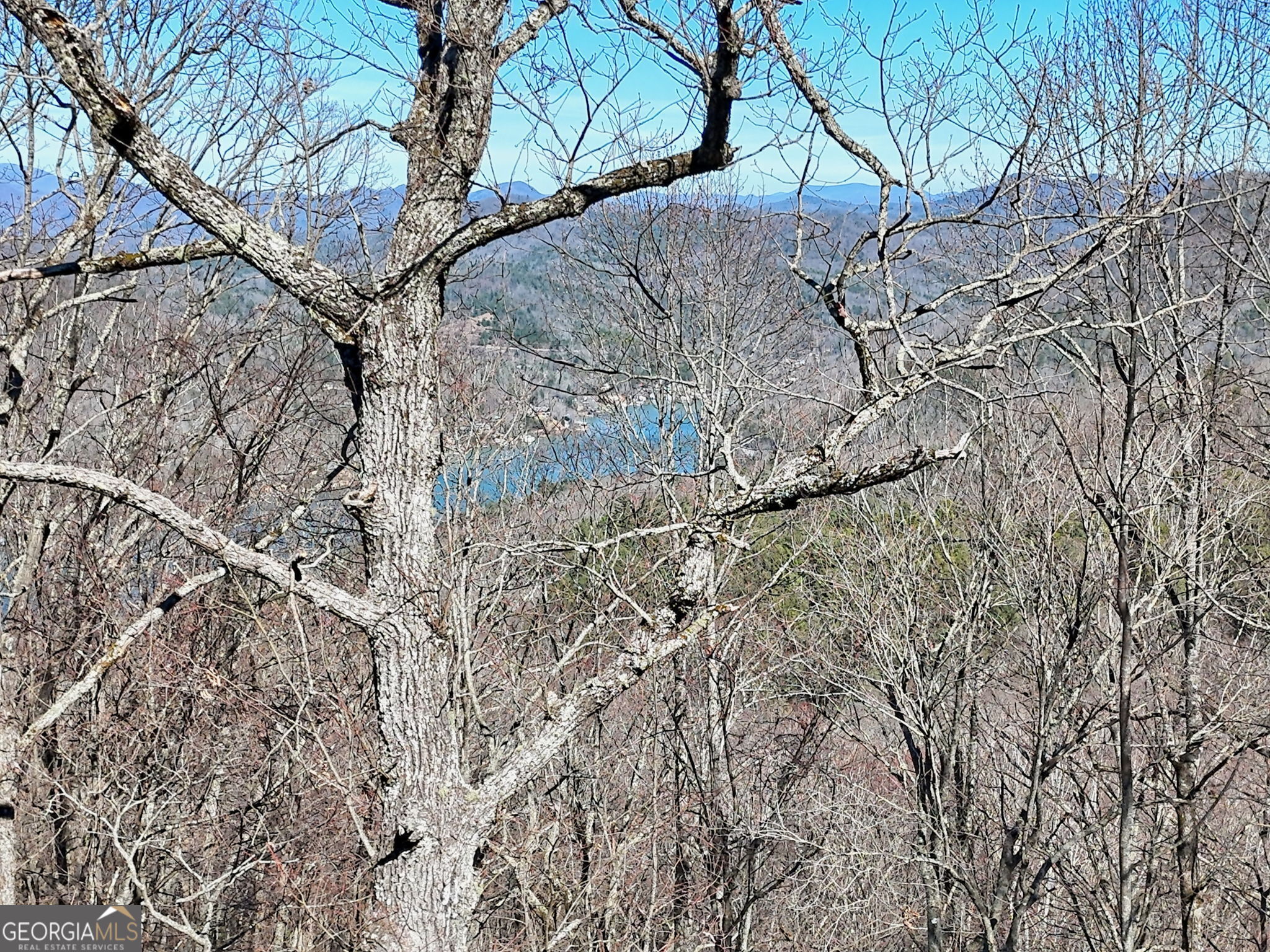 0 Baker, Unit LOT 10 Tiger, GA 30576 - Photo 5 of 8