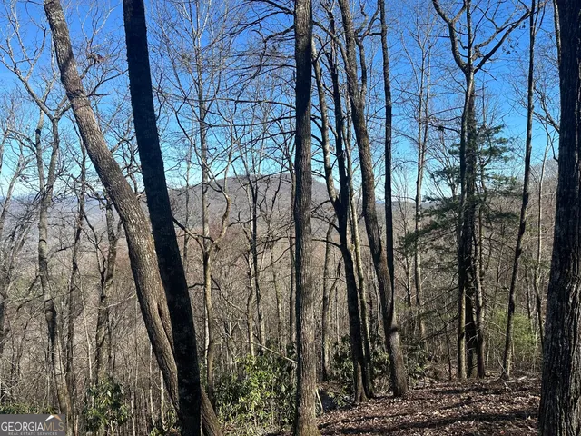 $250,000 | 0 Baker, Unit LOT 10, Tiger, GA 30576