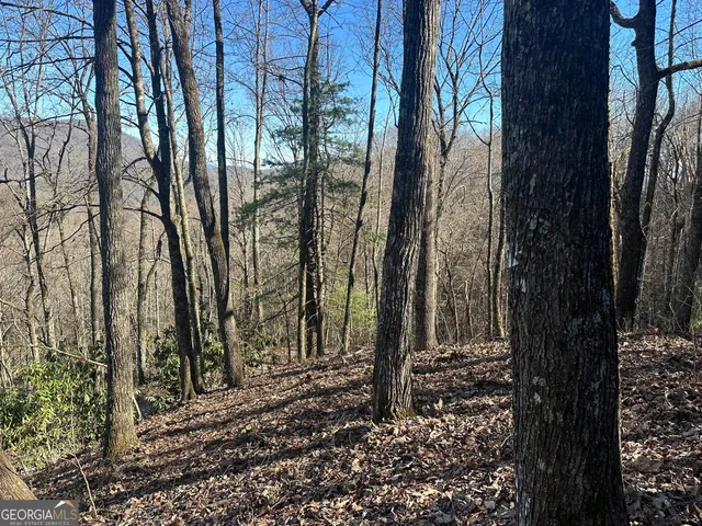 $250,000 | 0 Baker, Unit LOT 10, Tiger, GA 30576