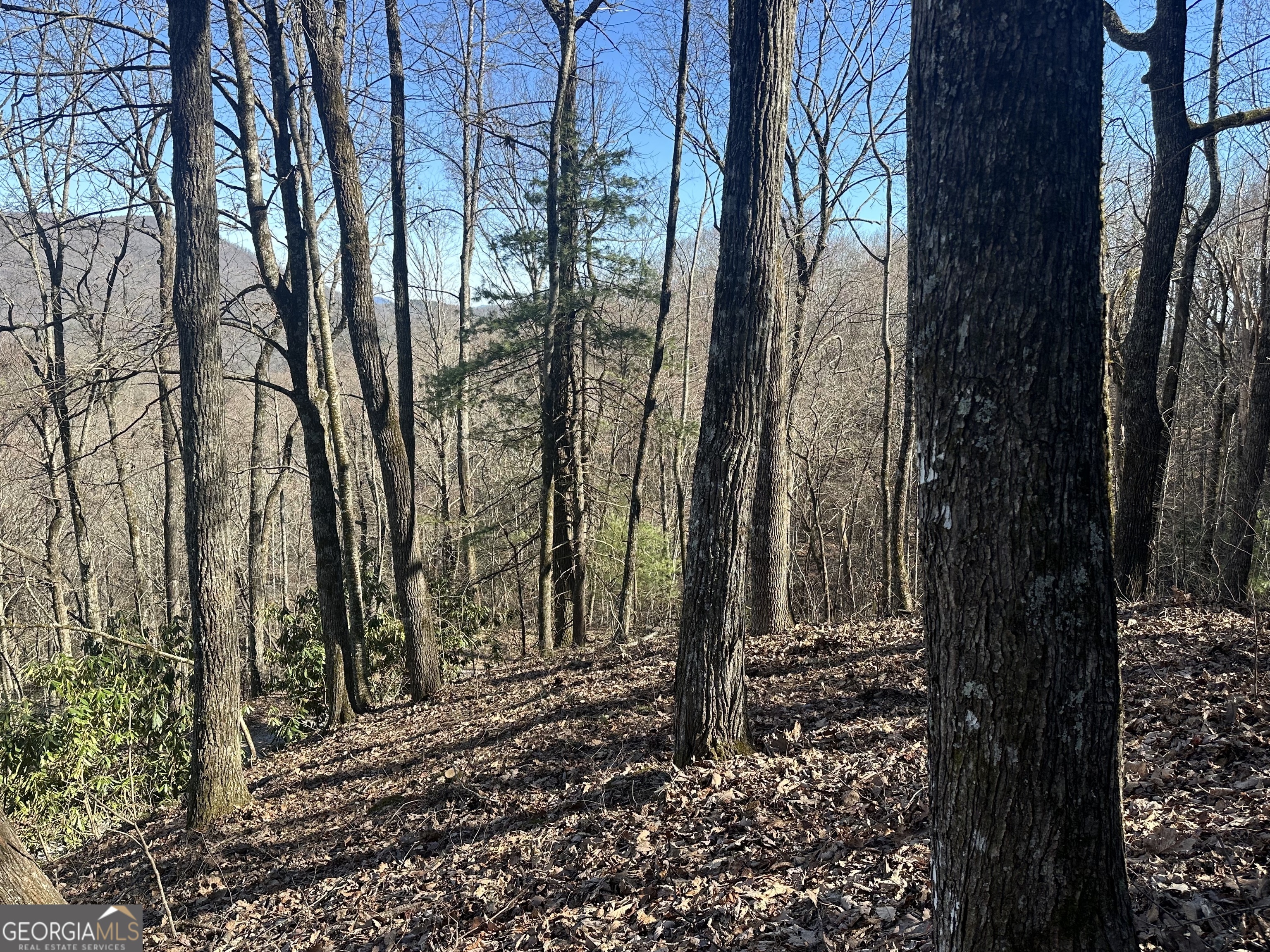 0 Baker, Unit LOT 10 Tiger, GA 30576 - Photo 7 of 8