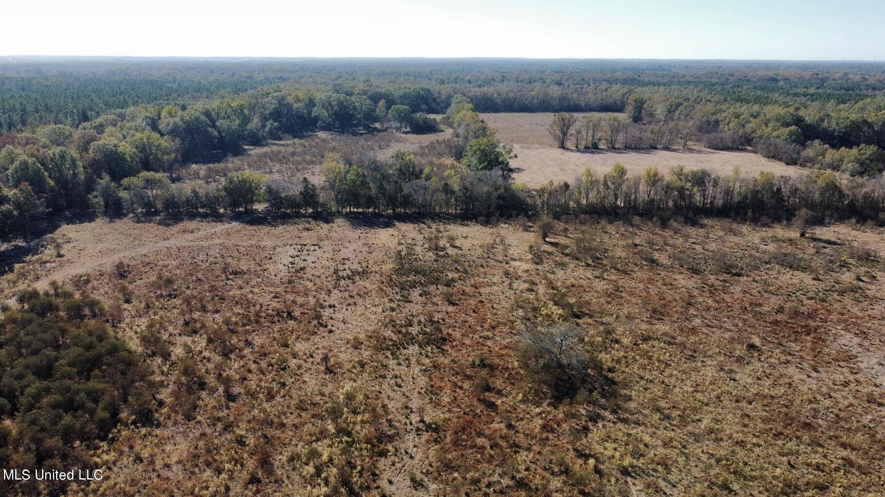 Canton Parkway Canton, MS 39046 - Photo 3 of 16 20231105163418832598000000-o