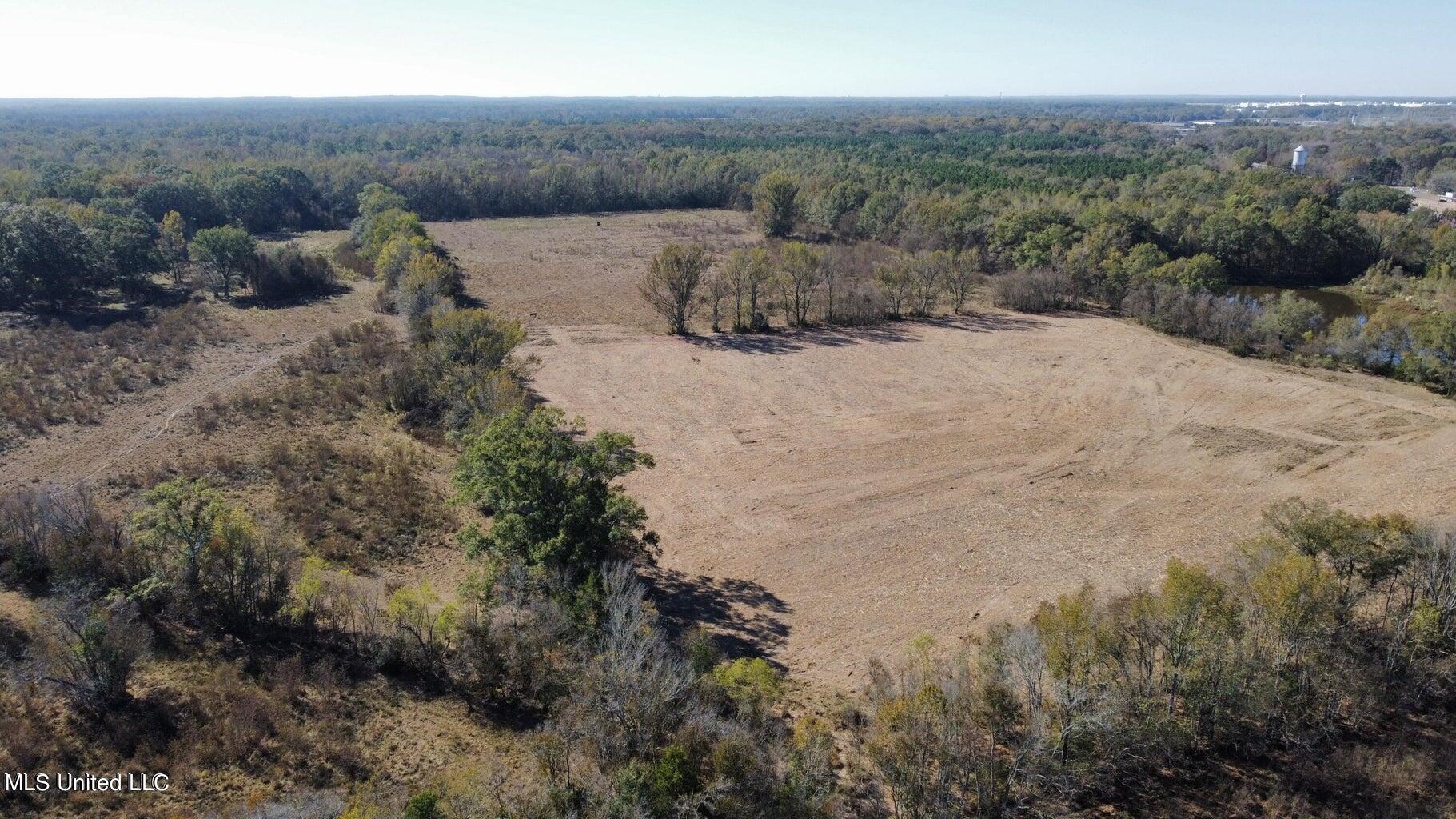 Canton Parkway Canton, MS 39046 - Photo 5 of 16 20231105163456925398000000-o