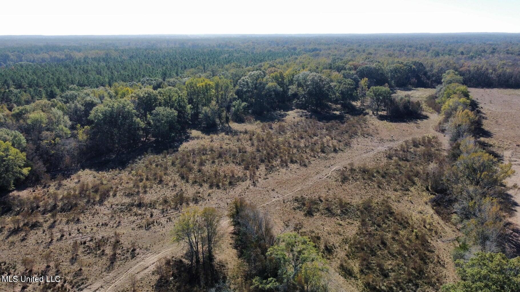 Canton Parkway Canton, MS 39046 - Photo 6 of 16 20231105163508724861000000-o