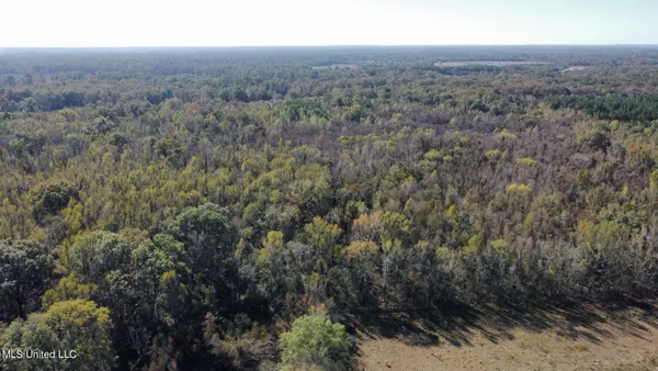 $962,000 | Canton Parkway, Canton, MS 39046