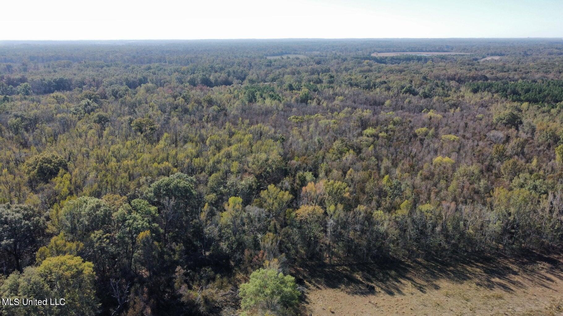 Canton Parkway Canton, MS 39046 - Photo 9 of 16 20231105163538826548000000-o