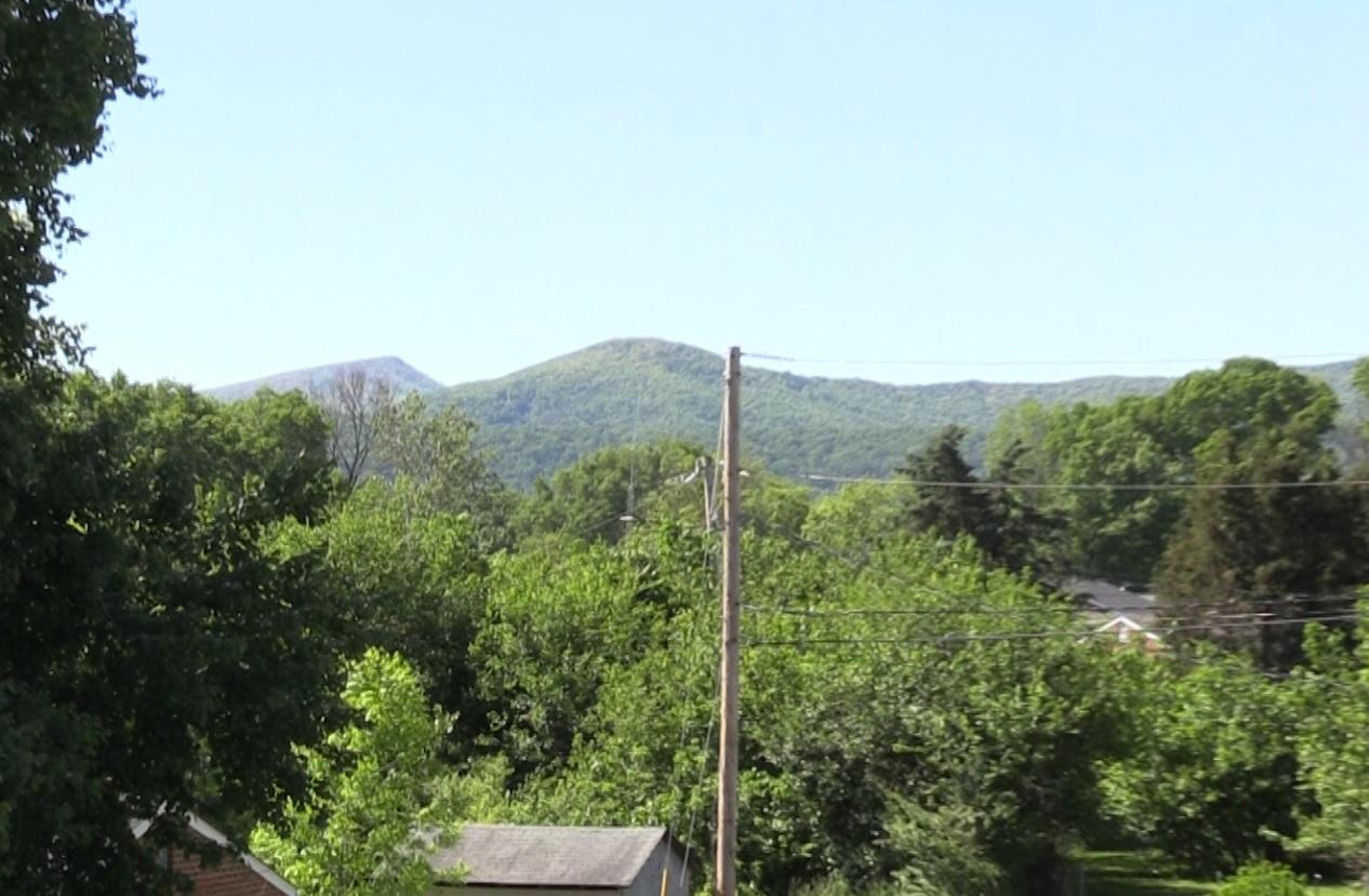 151 Return Road Roanoke, VA 24019 - Photo 30 of 30 mtn view