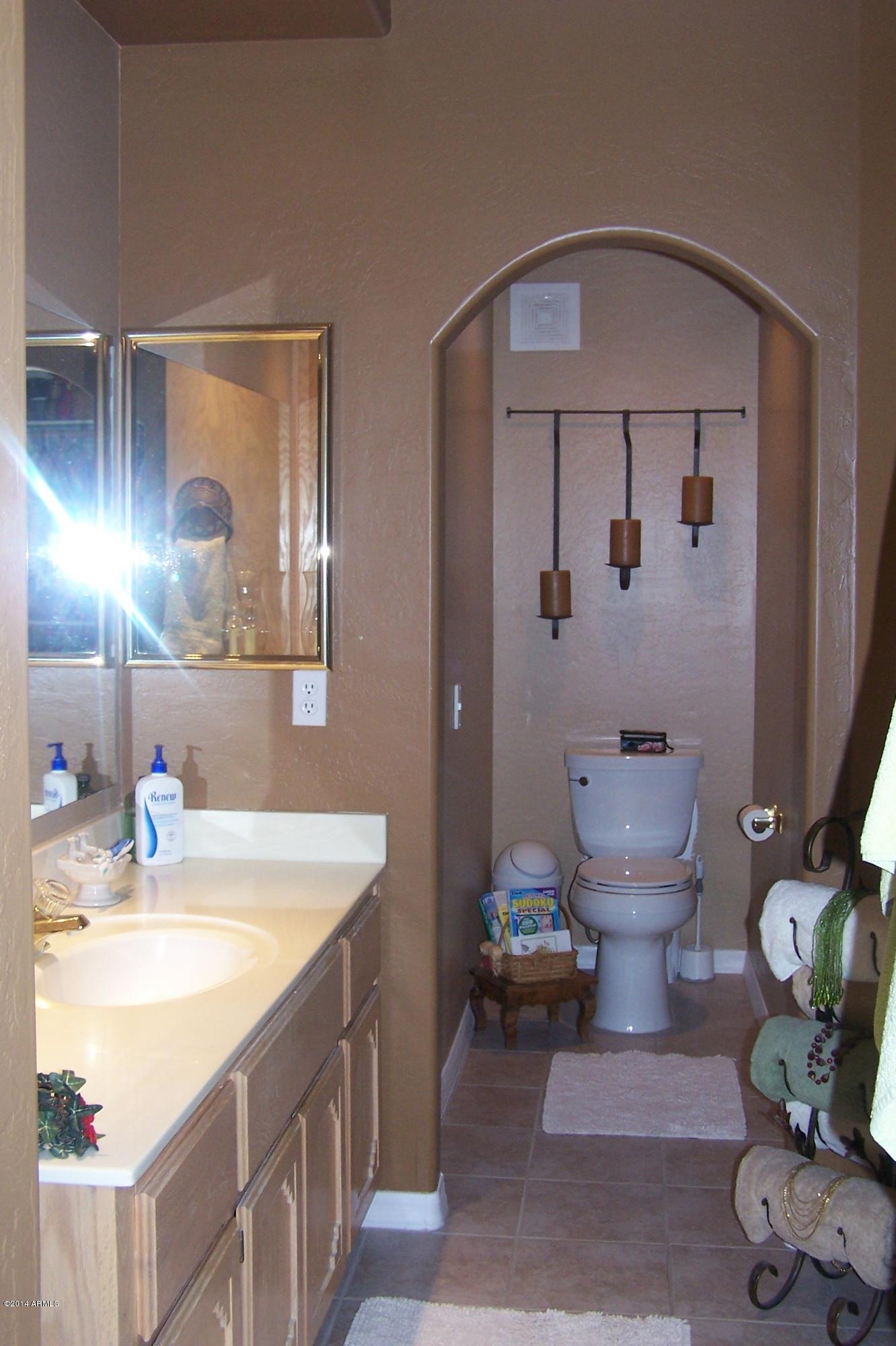 1381 North Cortez Road Apache Junction, AZ 85119 - Photo 14 of 38 Master Bath