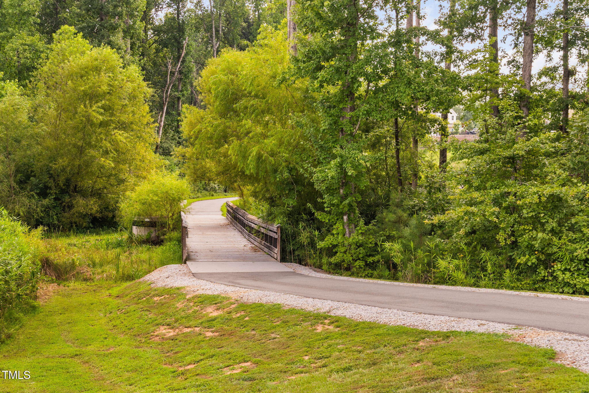 1344 Brown Velvet Lane Apex, NC 27523 - Photo 56 of 63 a view of a yard with an trees