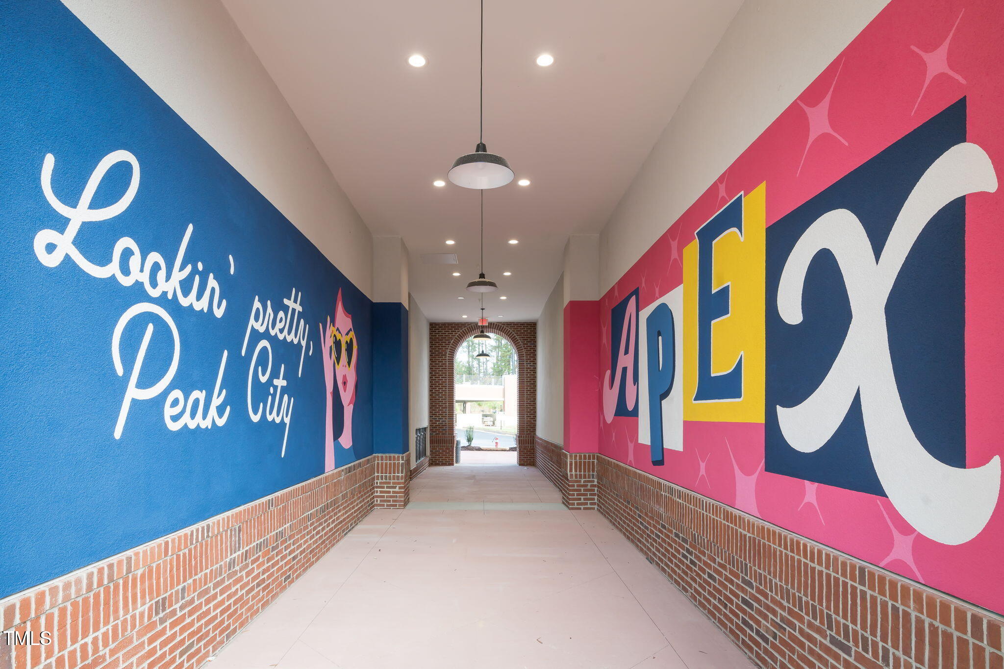 1344 Brown Velvet Lane Apex, NC 27523 - Photo 63 of 63 TCS1-20