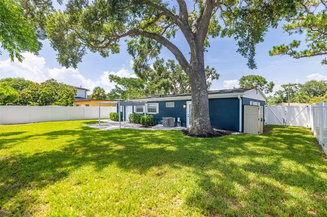 a view of a backyard with plants and large tree