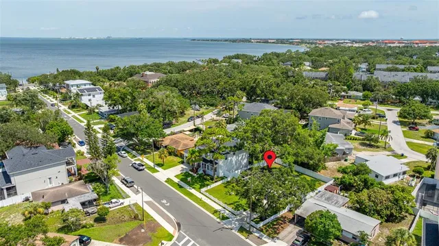 a view of a garden with plants