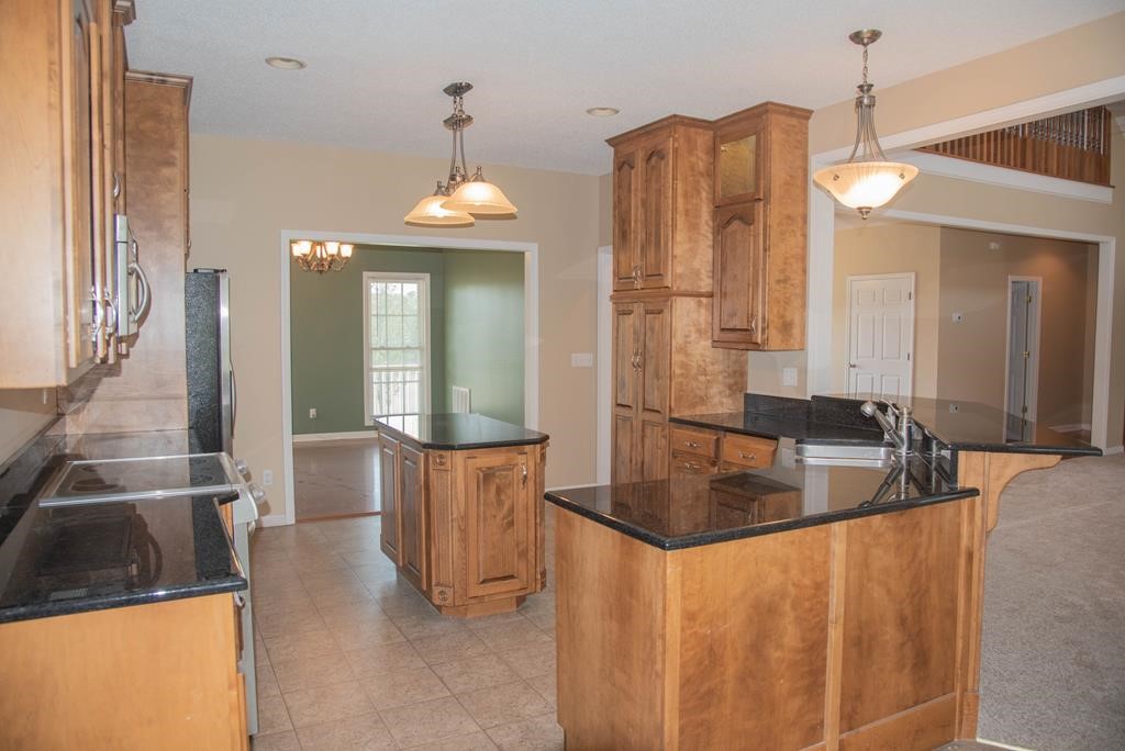 142 County Rd S-1-163 Calhoun Falls, SC 29628 - Photo 11 of 42 Gallery Image 11