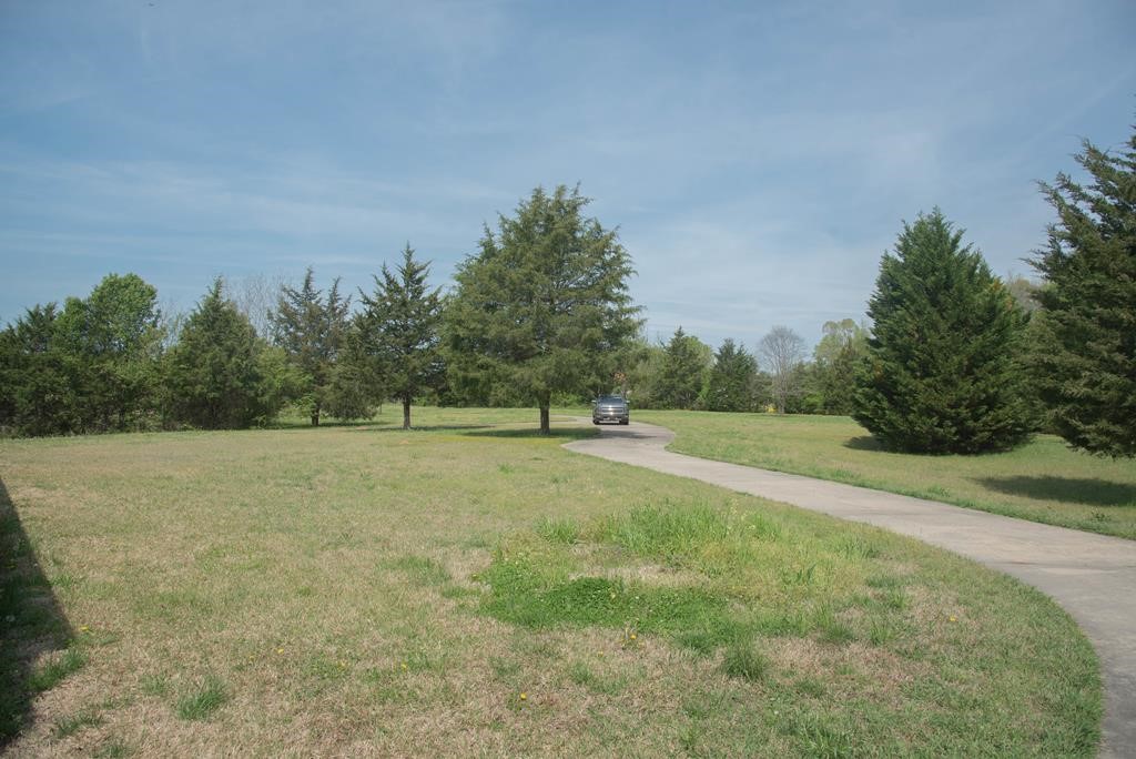 142 County Rd S-1-163 Calhoun Falls, SC 29628 - Photo 37 of 42 Gallery Image 37