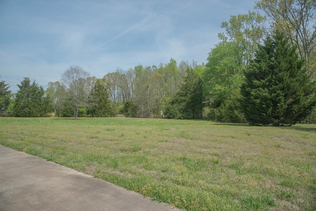 142 County Rd S-1-163 Calhoun Falls, SC 29628 - Photo 39 of 42 Gallery Image 39