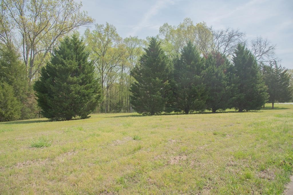 142 County Rd S-1-163 Calhoun Falls, SC 29628 - Photo 41 of 42 Gallery Image 41