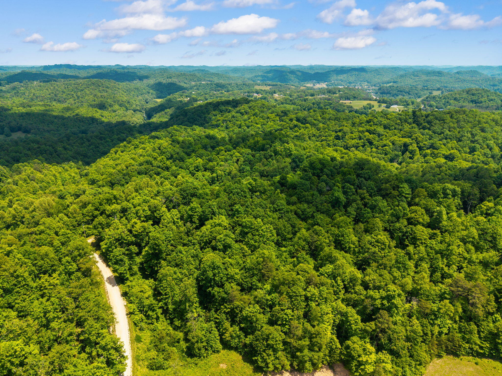 500 Fox Hunters Knob Road Booneville, KY 41314 - Photo 19 of 52 21-web-or-mls-DJI_20260517141832_0064_D