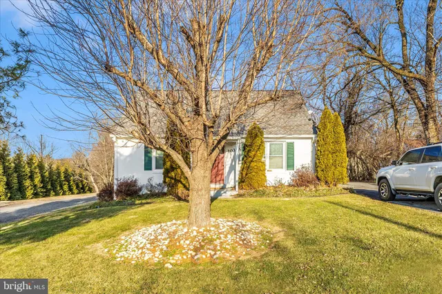a view of a yard with a large tree