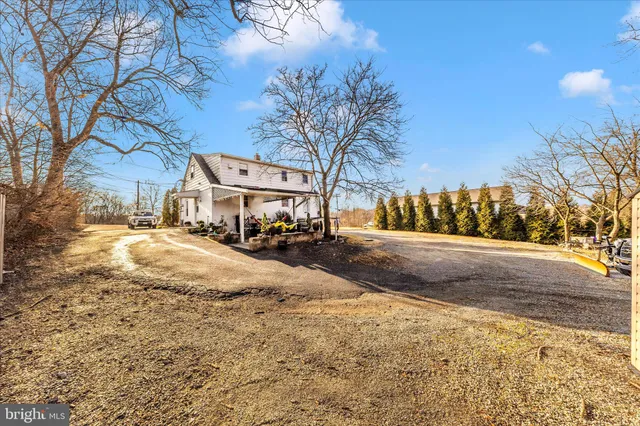 a view of a yard with large trees