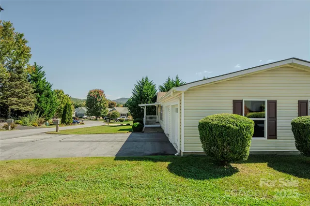 a view of a backyard with potted plants and a large tree