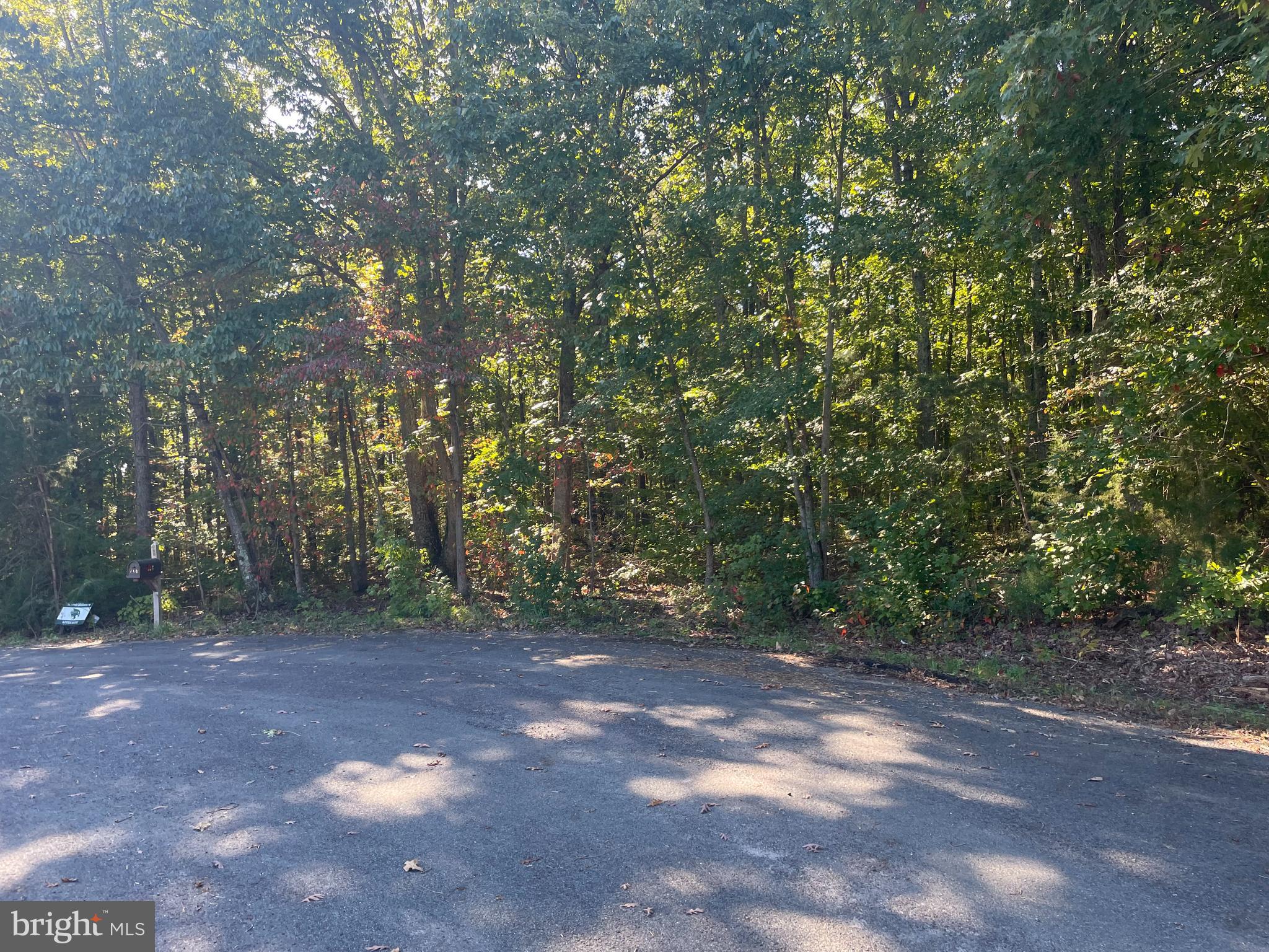 Lot 7 Johnny Hall Road Mineral, VA 23117 - Photo 2 of 10