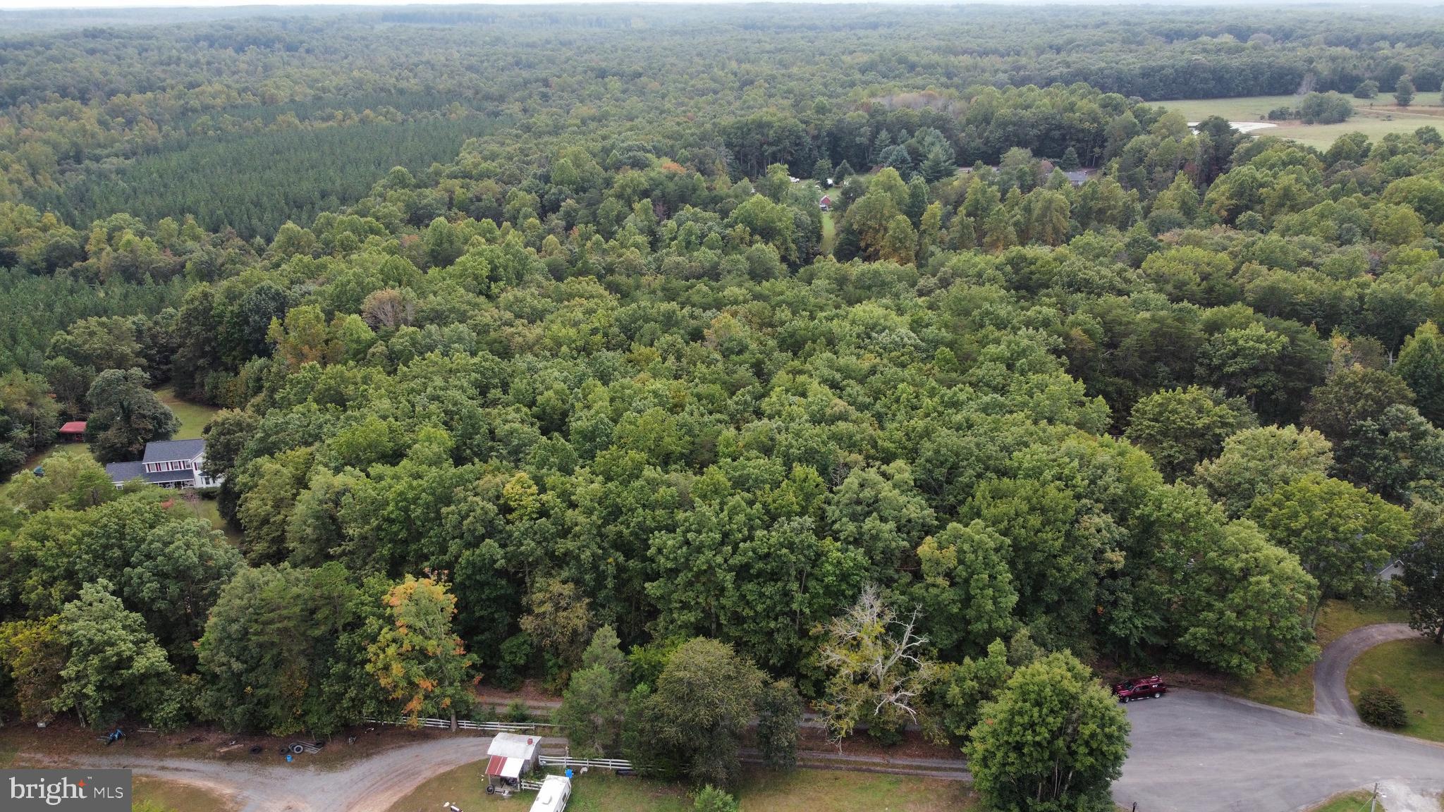 Lot 7 Johnny Hall Road Mineral, VA 23117 - Photo 3 of 10