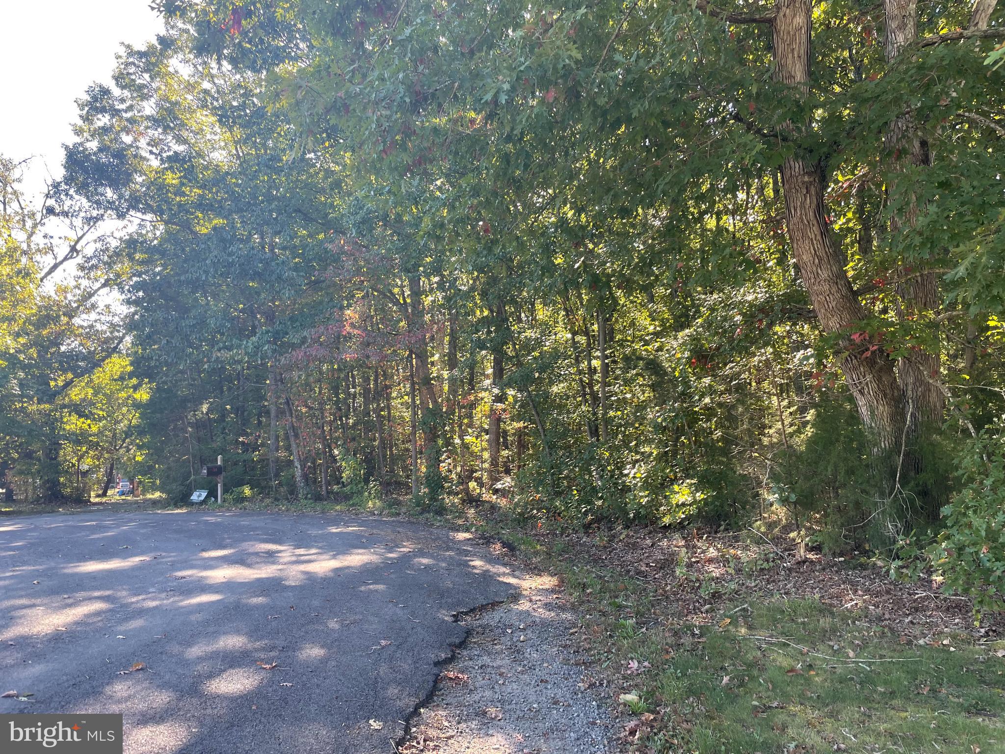 Lot 7 Johnny Hall Road Mineral, VA 23117 - Photo 4 of 10