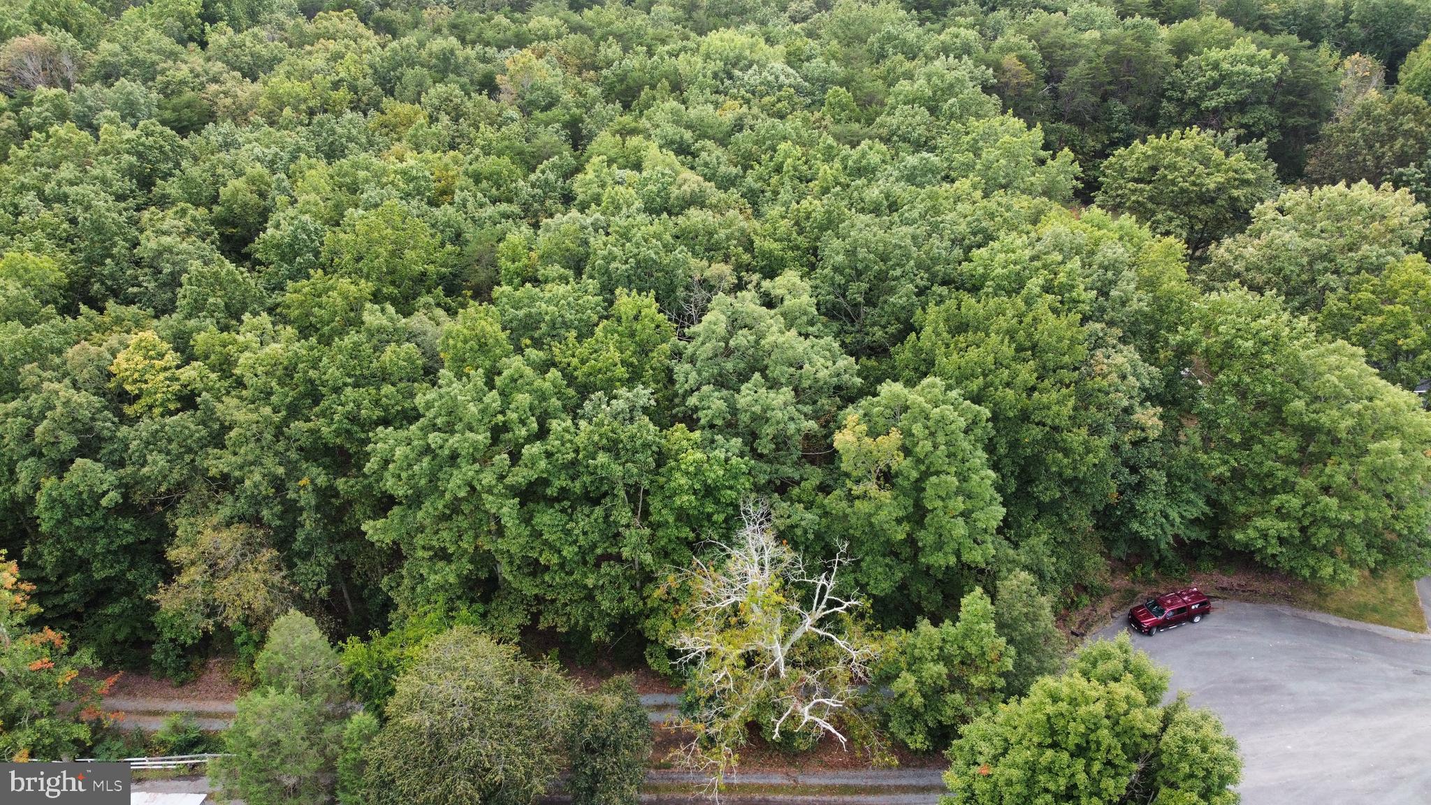 Lot 7 Johnny Hall Road Mineral, VA 23117 - Photo 5 of 10