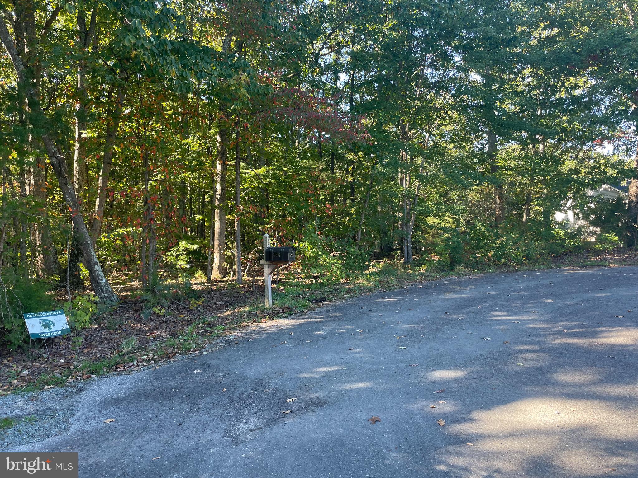 Lot 7 Johnny Hall Road Mineral, VA 23117 - Photo 6 of 10