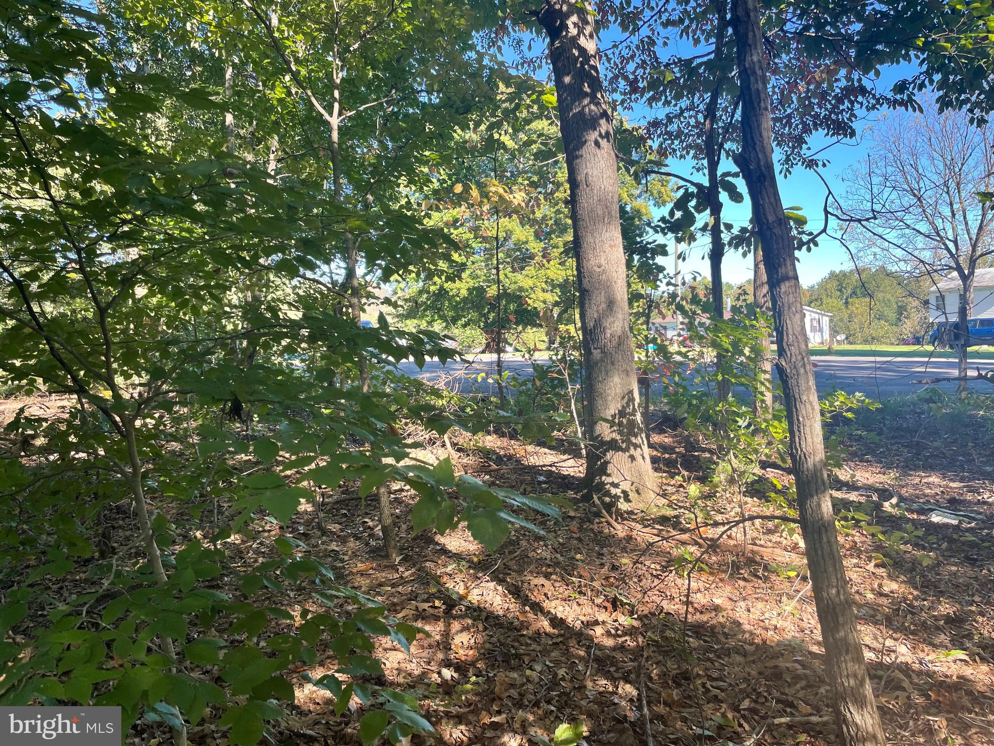 Lot 7 Johnny Hall Road Mineral, VA 23117 - Photo 7 of 10