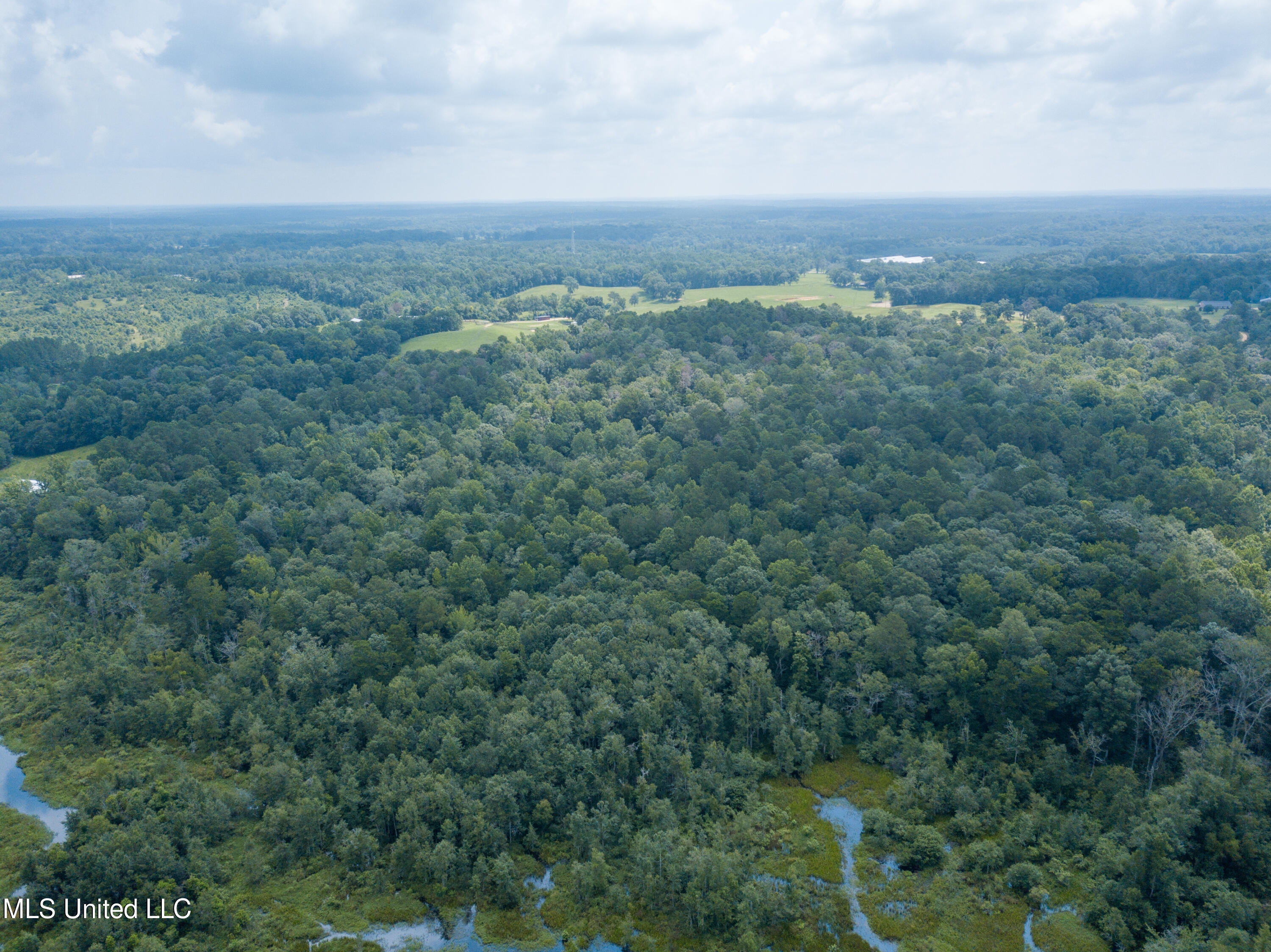 501-2 Smith County Road Raleigh, MS 39153 - Photo 12 of 52 DJI_0414