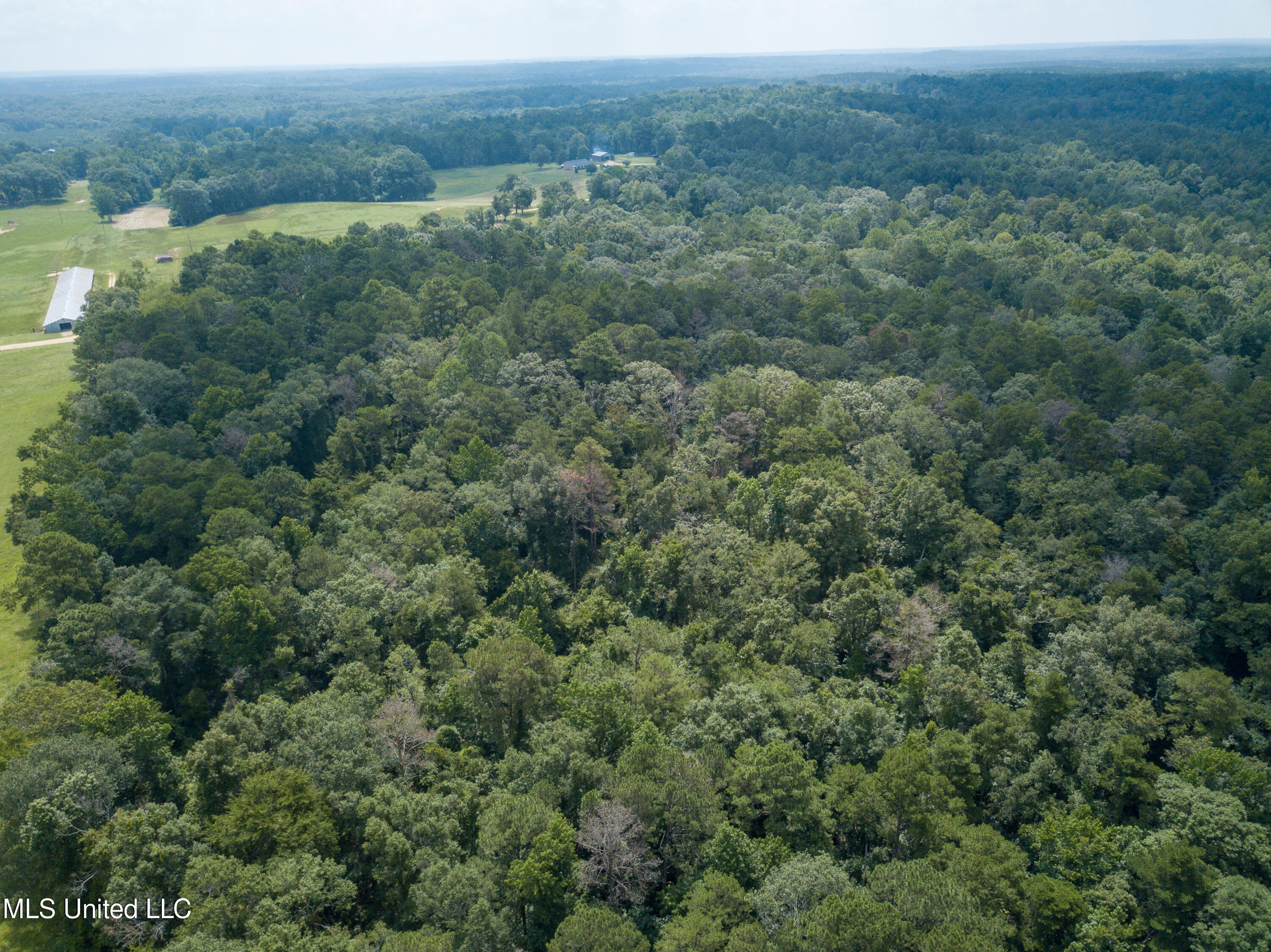 501-2 Smith County Road Raleigh, MS 39153 - Photo 14 of 52 DJI_0416