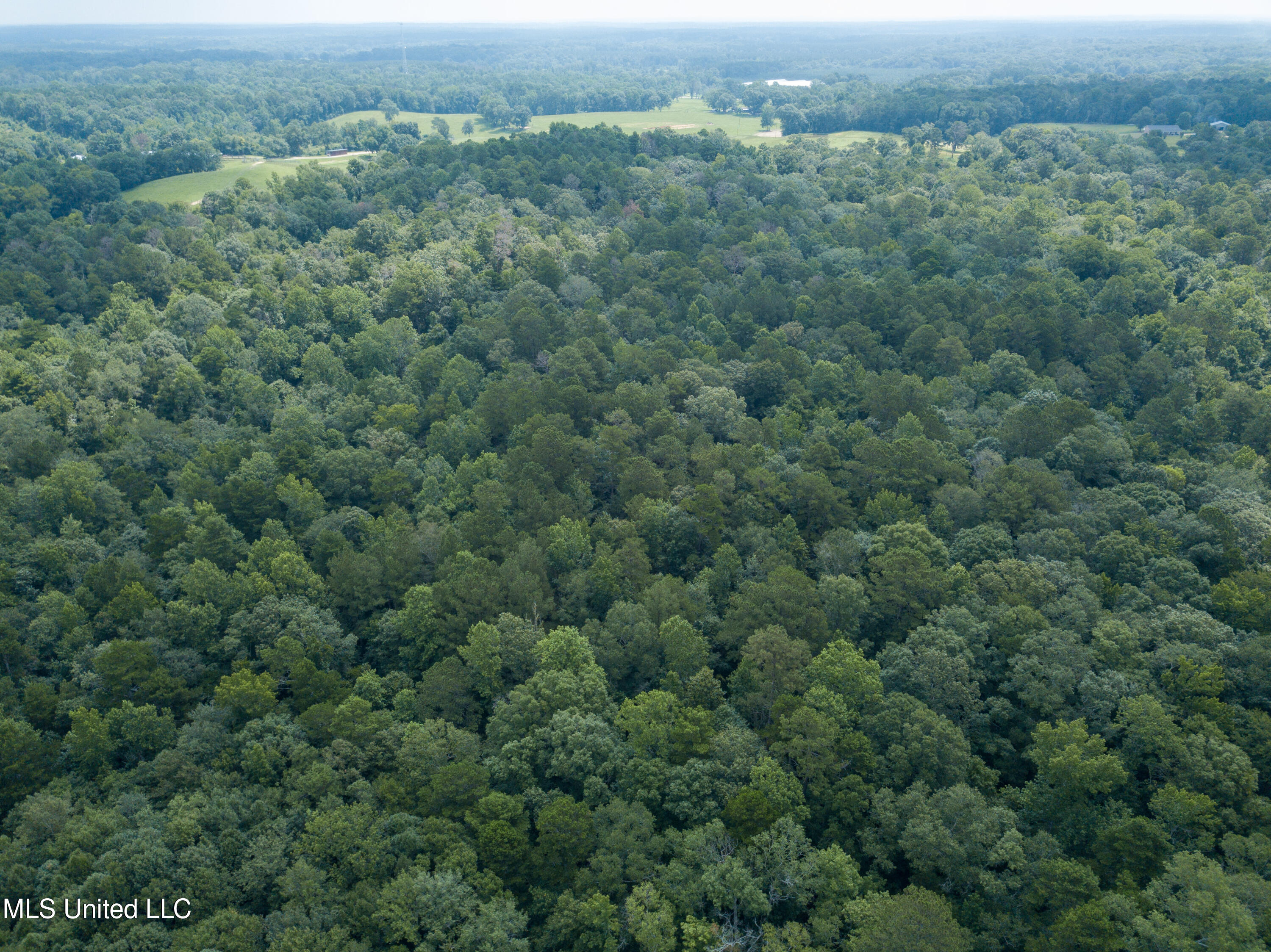 501-2 Smith County Road Raleigh, MS 39153 - Photo 15 of 52 DJI_0415