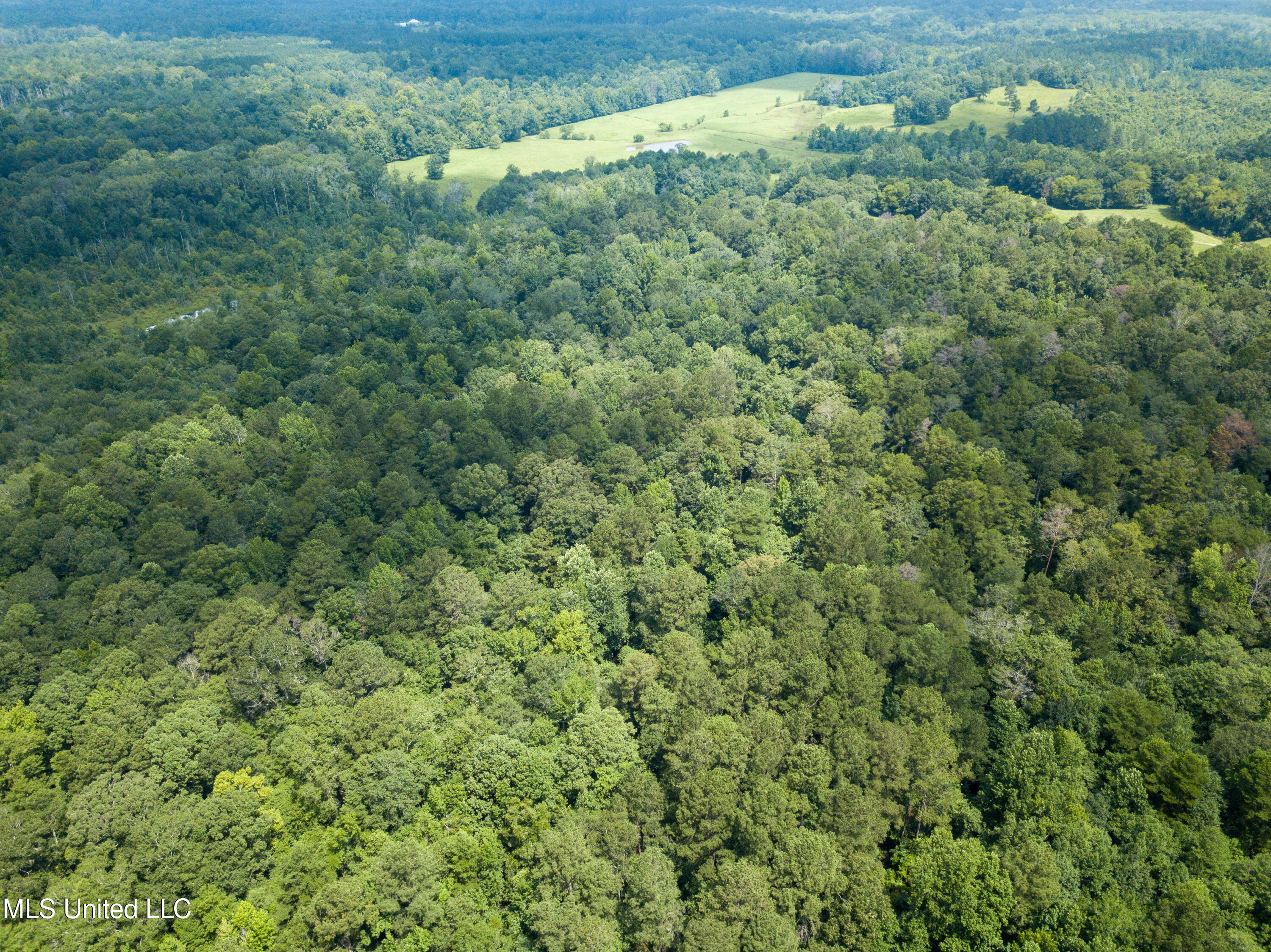 501-2 Smith County Road Raleigh, MS 39153 - Photo 18 of 52 DJI_0417