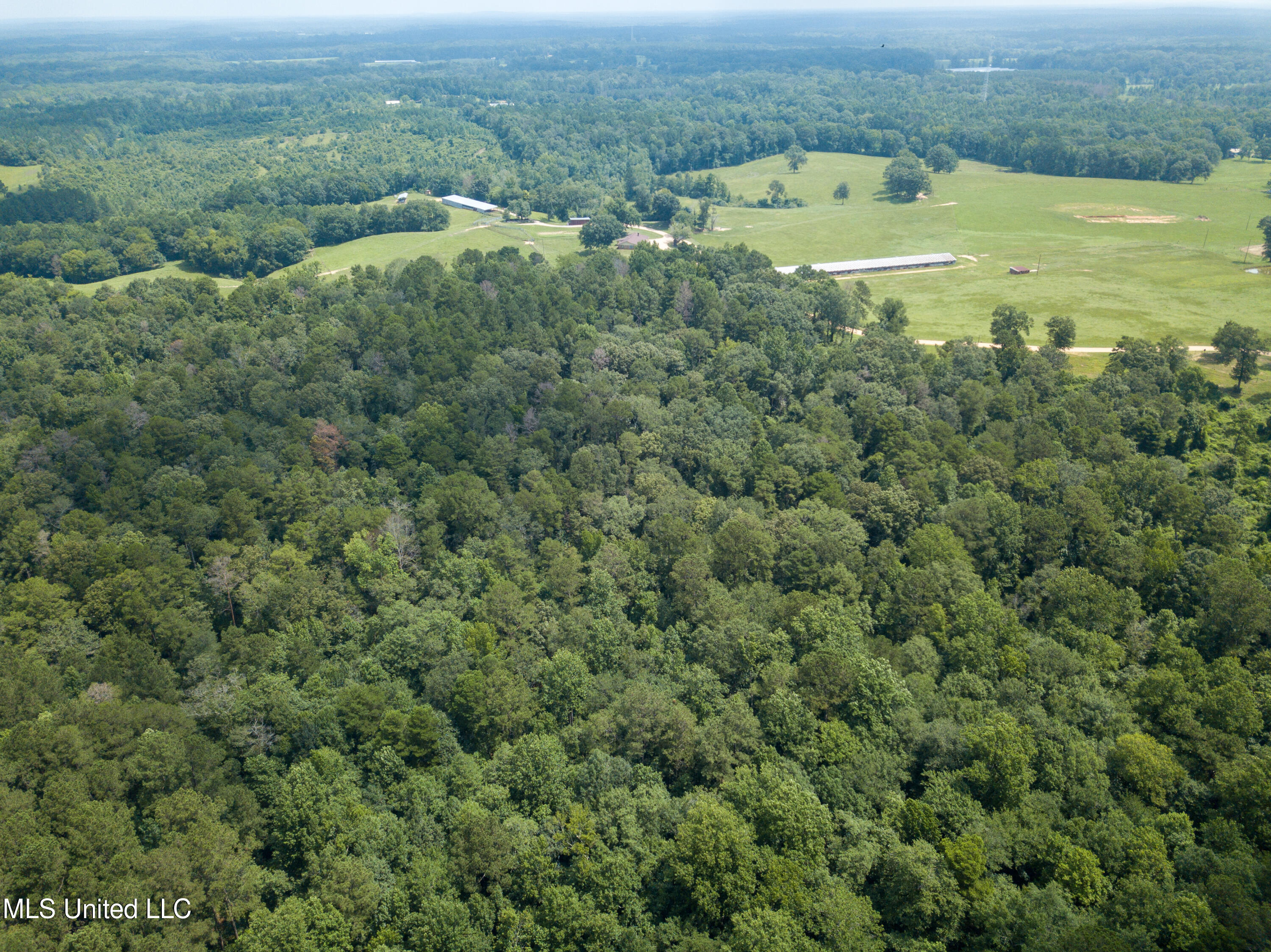 501-2 Smith County Road Raleigh, MS 39153 - Photo 19 of 52 DJI_0418