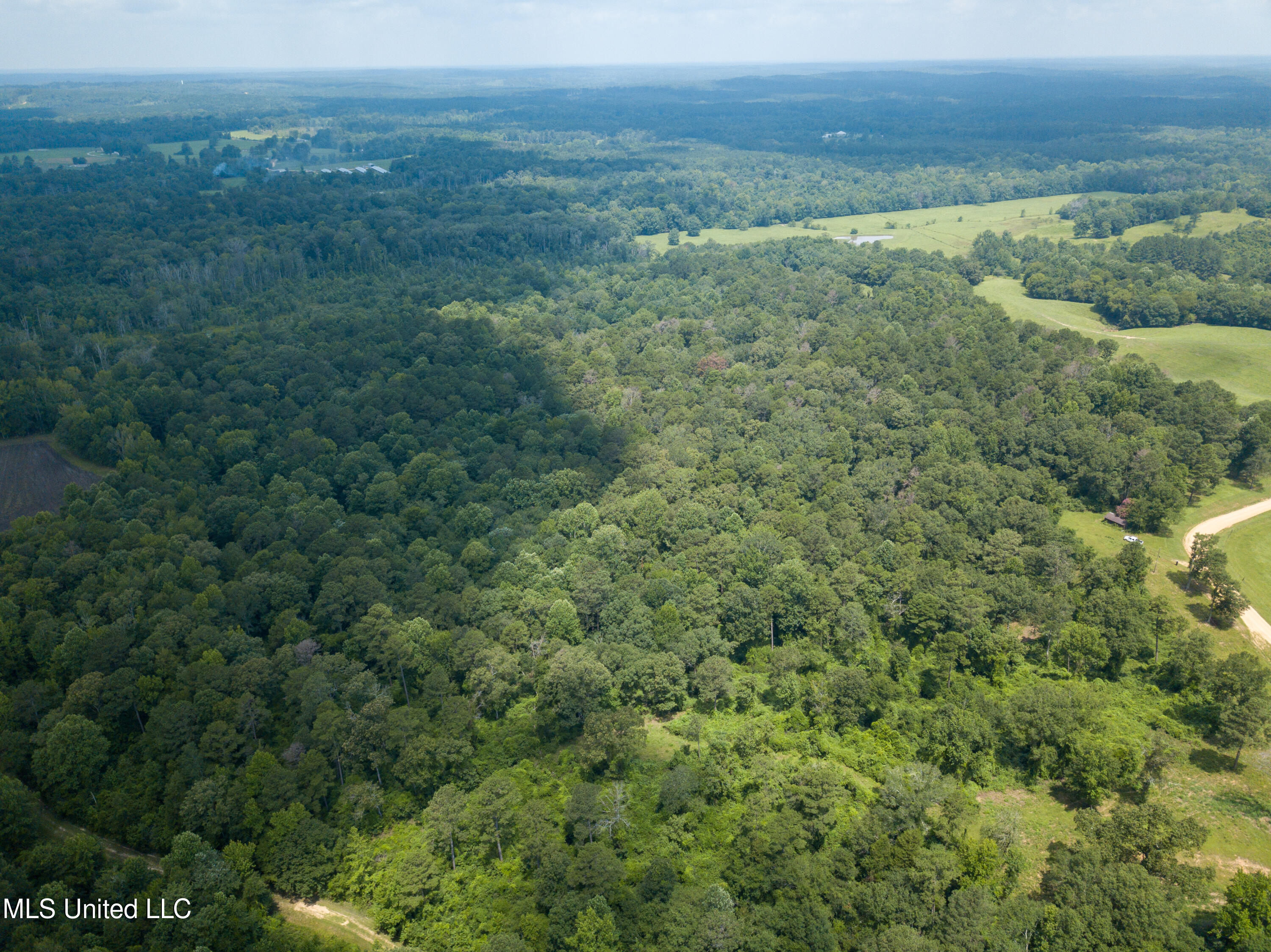 501-2 Smith County Road Raleigh, MS 39153 - Photo 22 of 52 DJI_0420