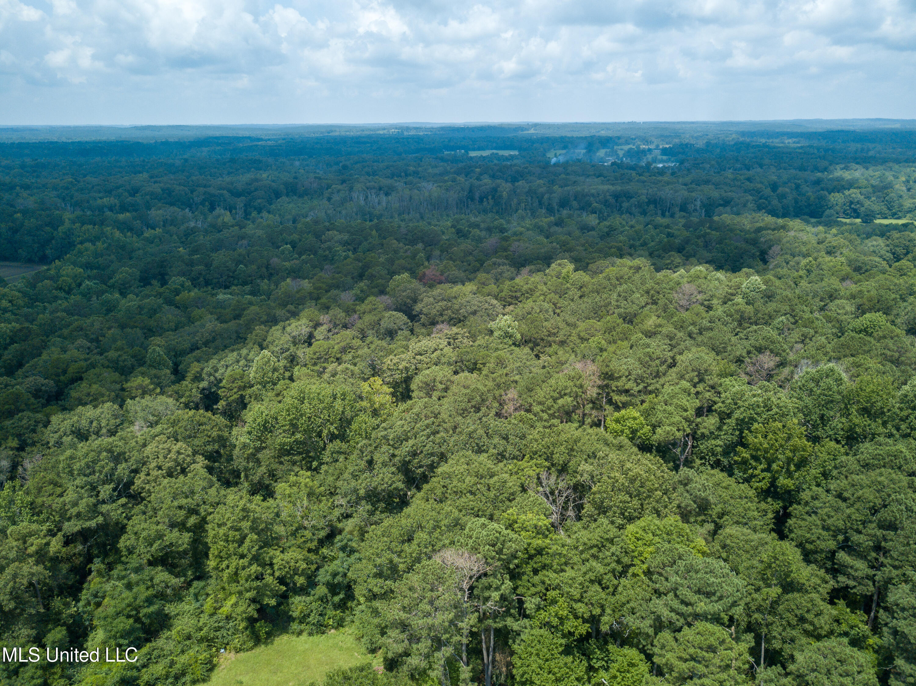 501-2 Smith County Road Raleigh, MS 39153 - Photo 24 of 52 DJI_0423