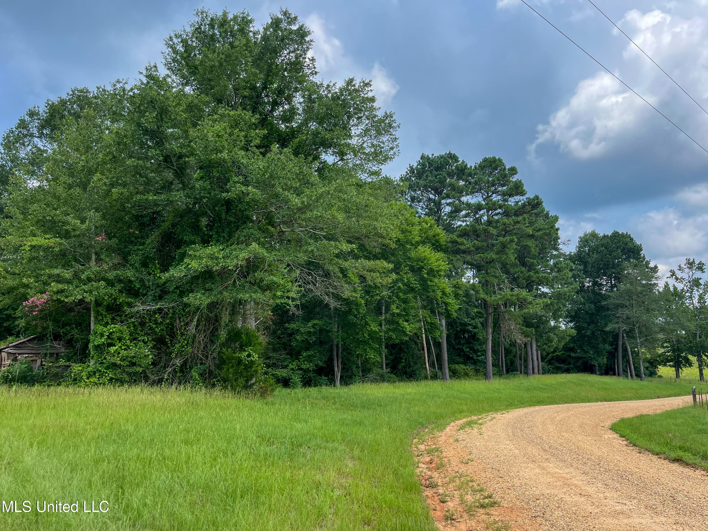 501-2 Smith County Road Raleigh, MS 39153 - Photo 27 of 52 IMG_7618