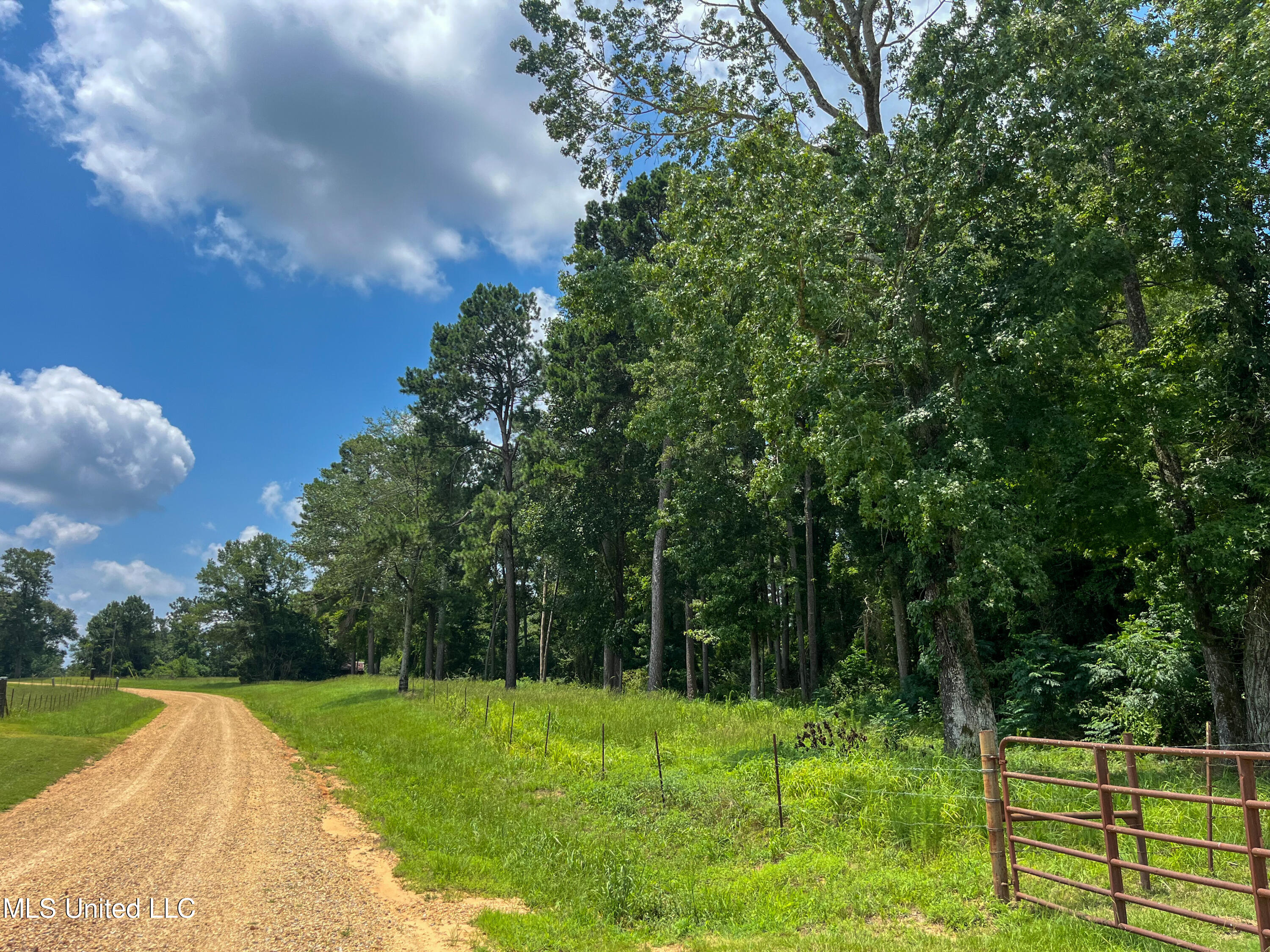 501-2 Smith County Road Raleigh, MS 39153 - Photo 50 of 52 IMG_7633