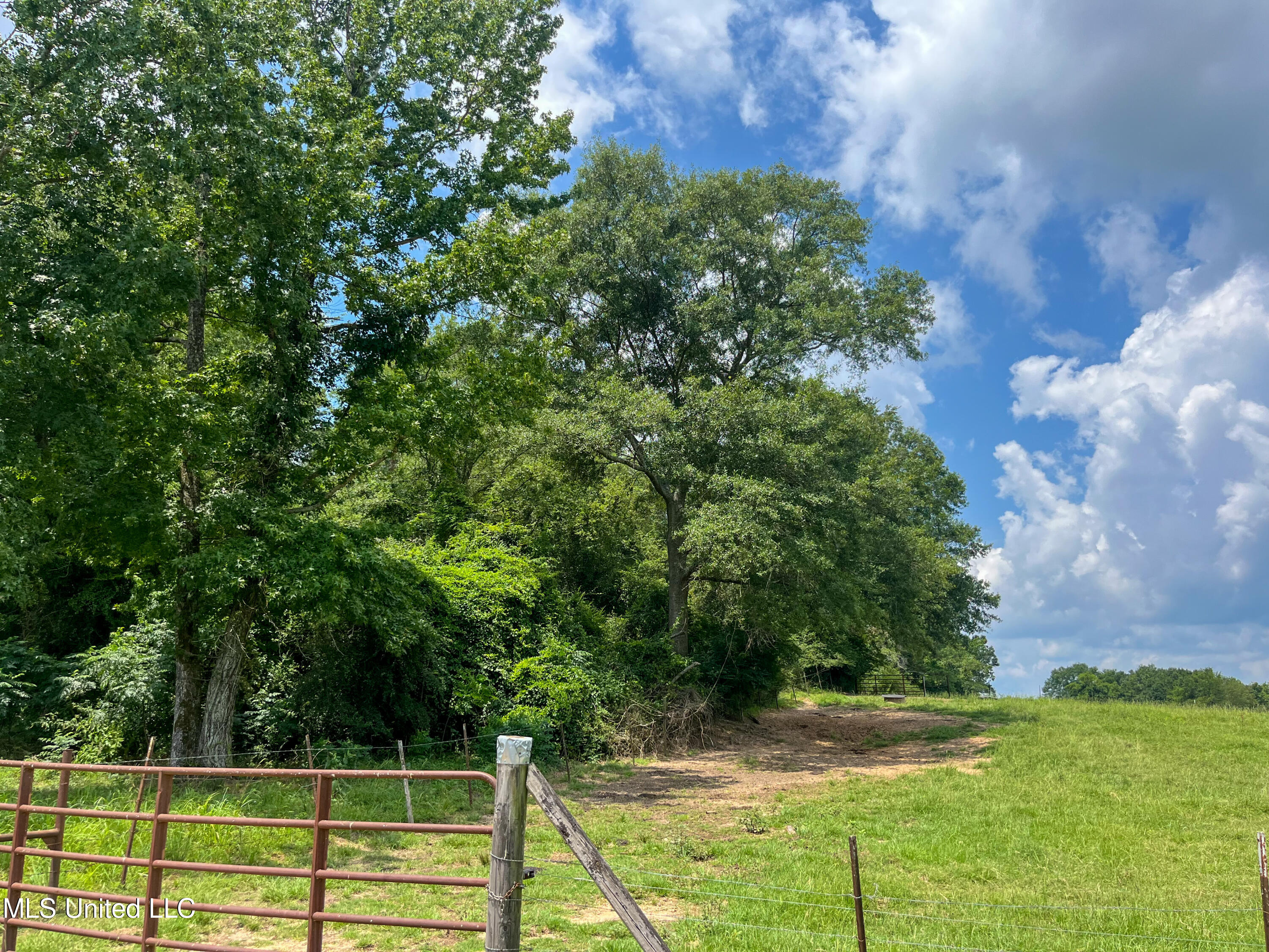 501-2 Smith County Road Raleigh, MS 39153 - Photo 51 of 52 IMG_7634