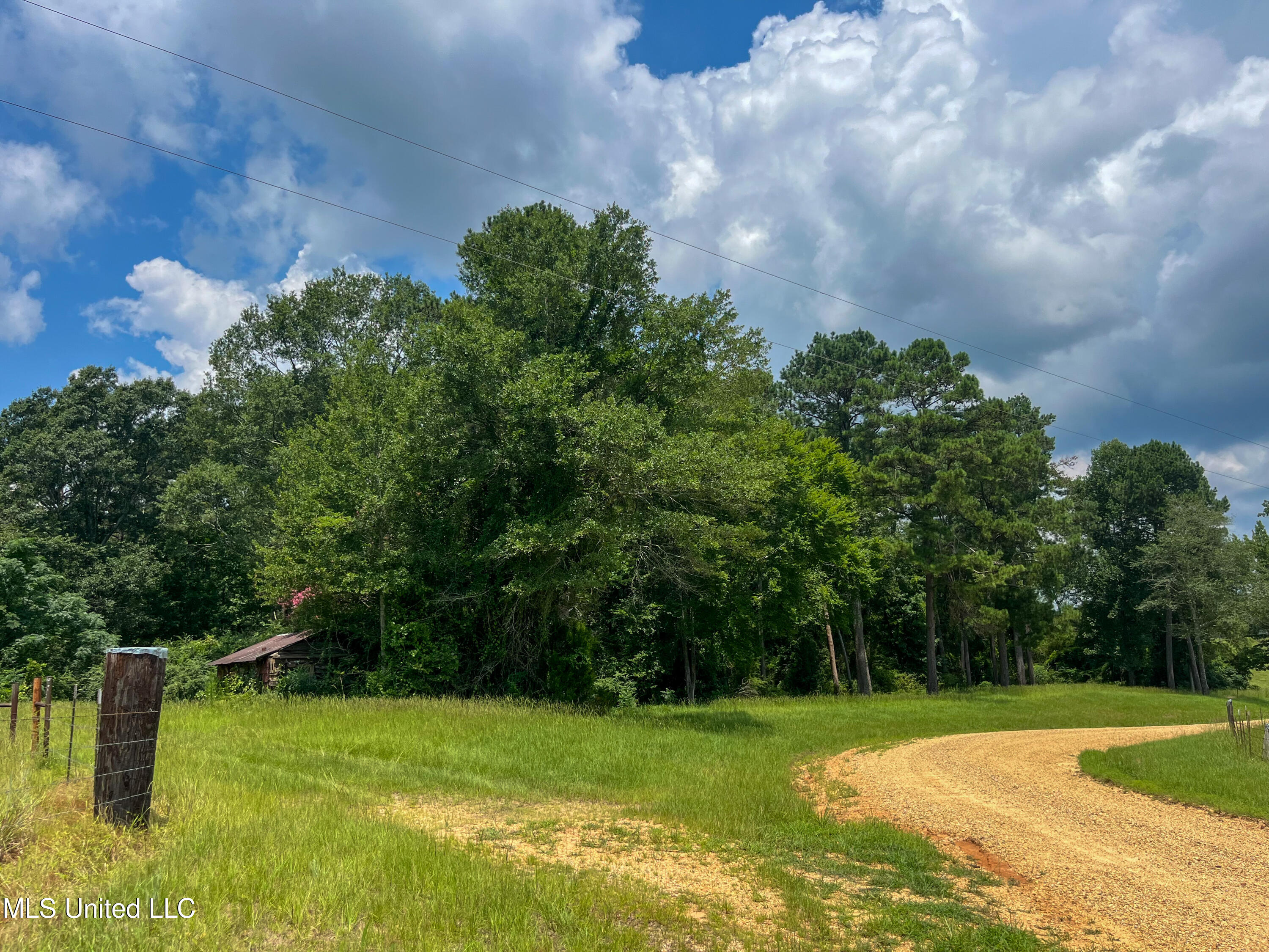 501-2 Smith County Road Raleigh, MS 39153 - Photo 52 of 52 IMG_7632