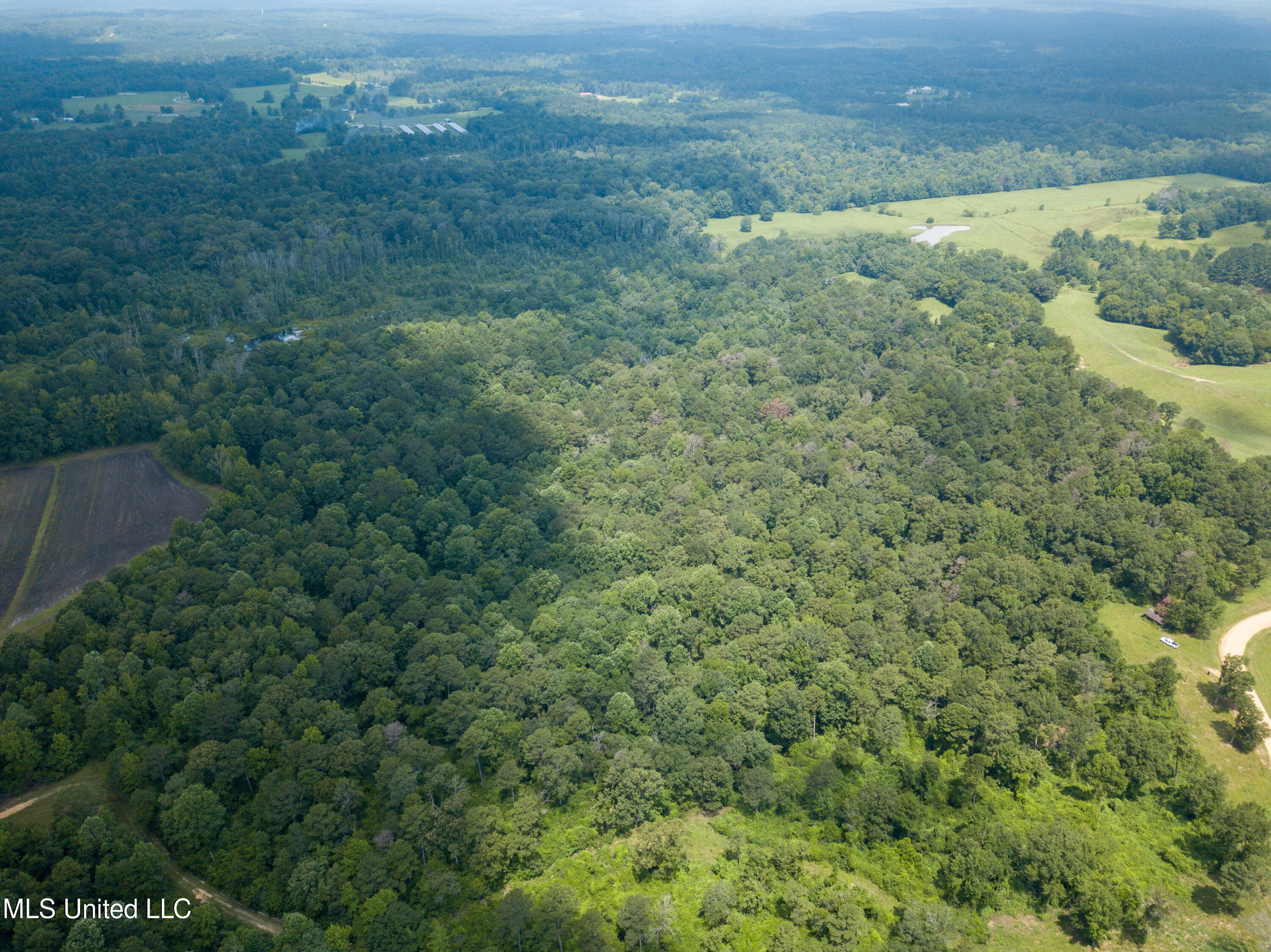 501-2 Smith County Road Raleigh, MS 39153 - Photo 8 of 52 DJI_0419