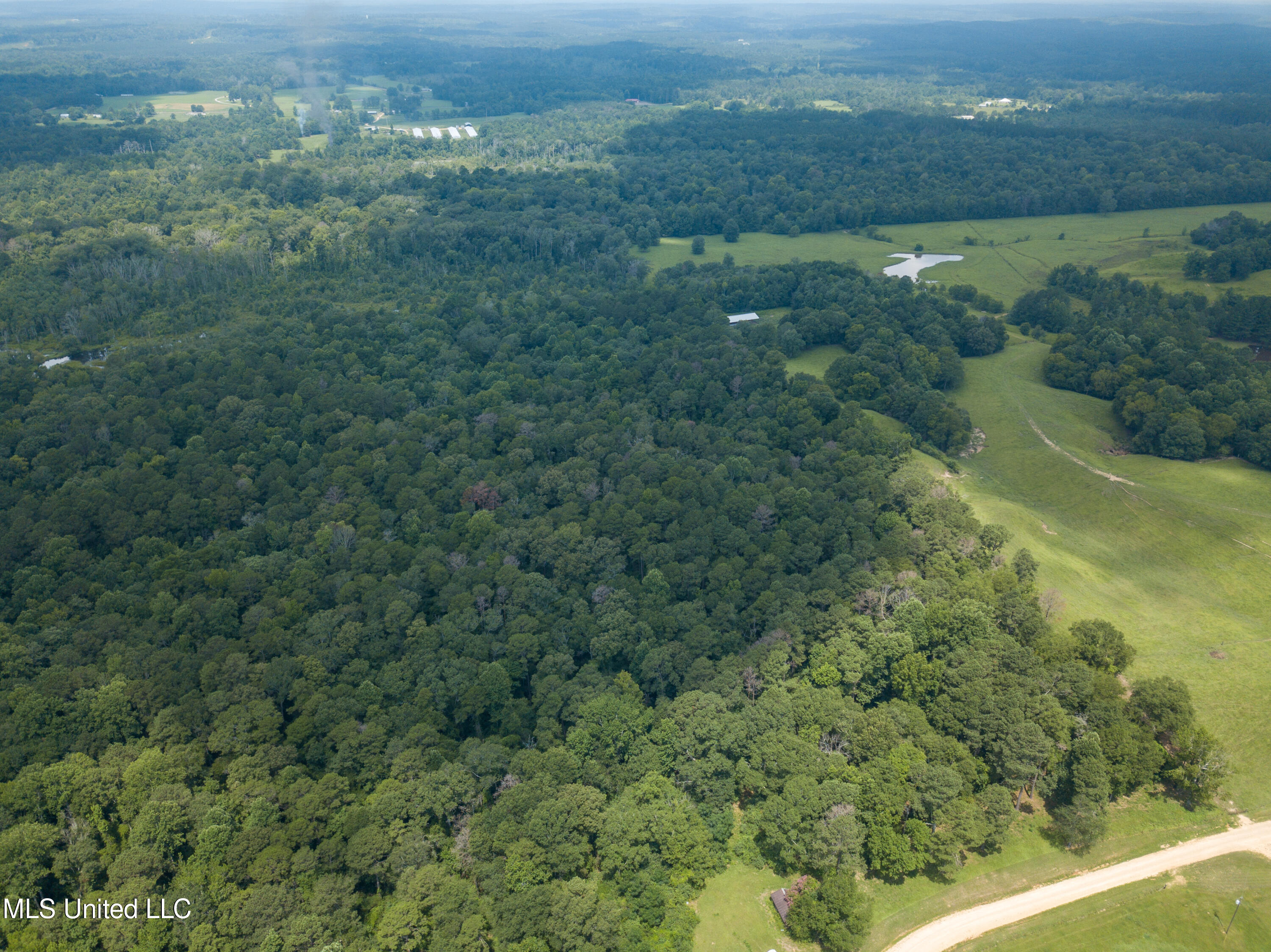 501-2 Smith County Road Raleigh, MS 39153 - Photo 10 of 52 DJI_0409