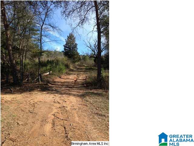 0 Henderson Lake Road, Unit 128 Munford, AL 36268 - Photo 7 of 31