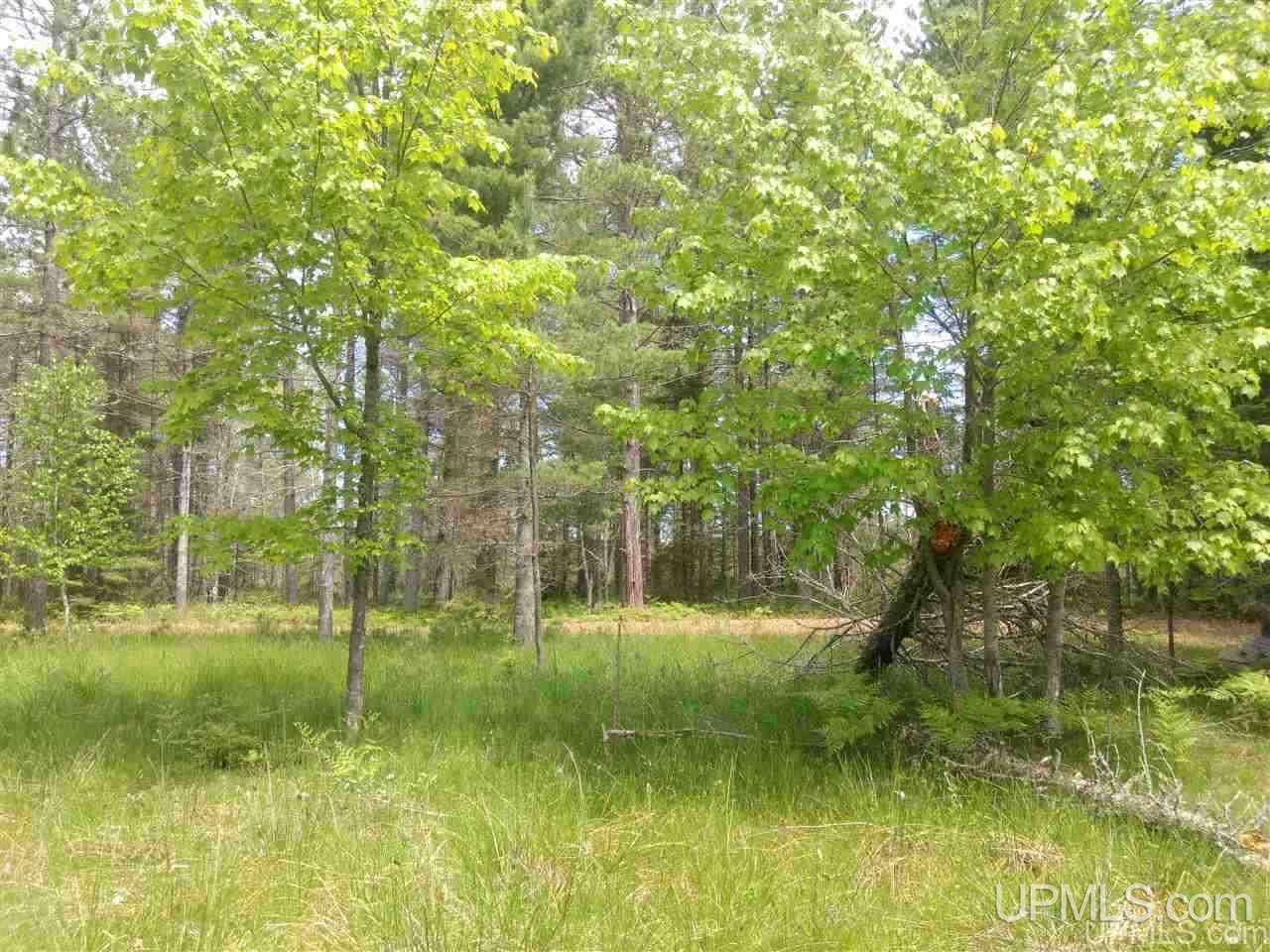Tbd Rice Landing Road, Unit 13 Lake Linden, MI 49945 - Photo 19 of 35